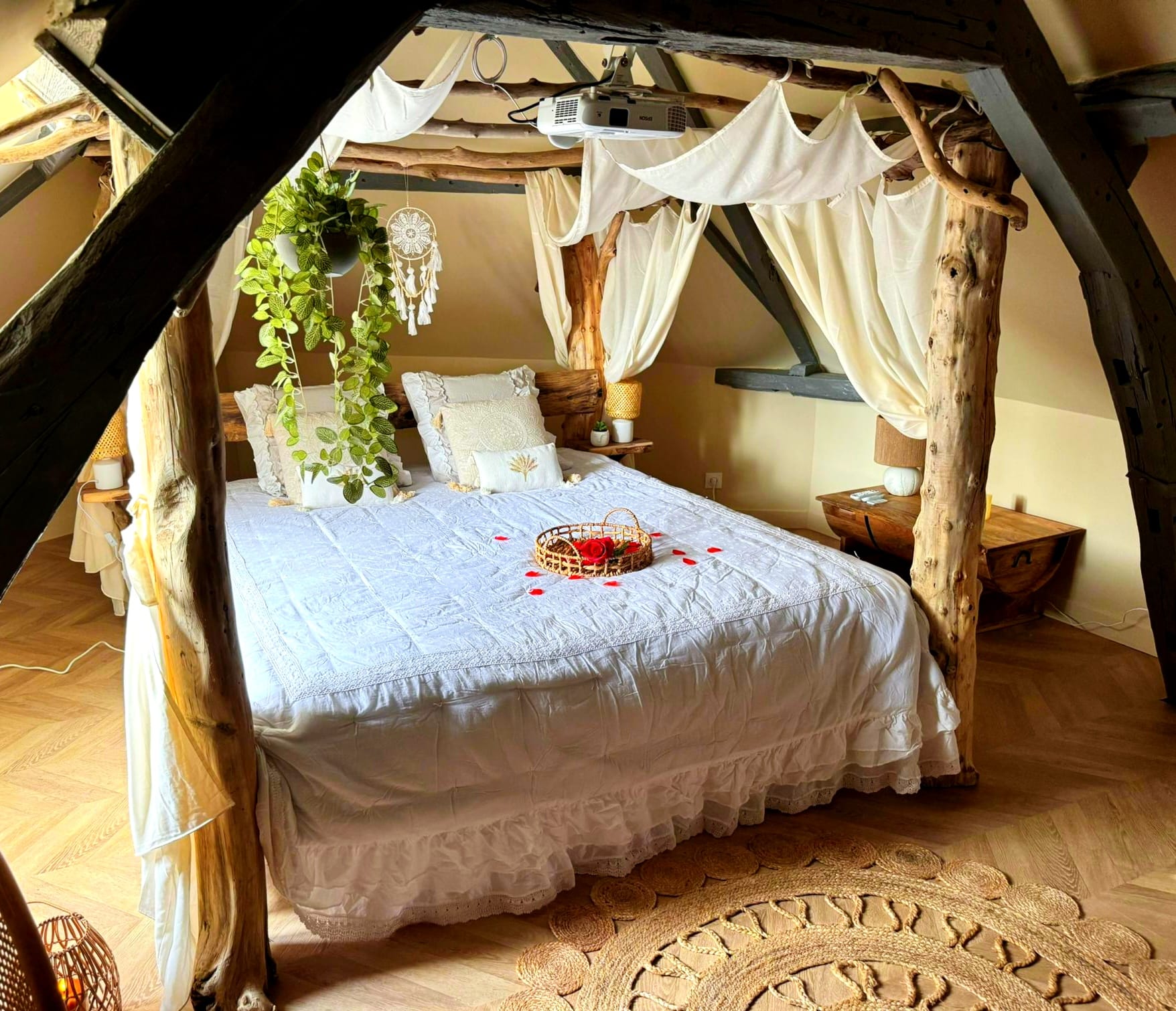 Évasion Sauvage et Luxe — Chambre à thème avec spa à Amiens