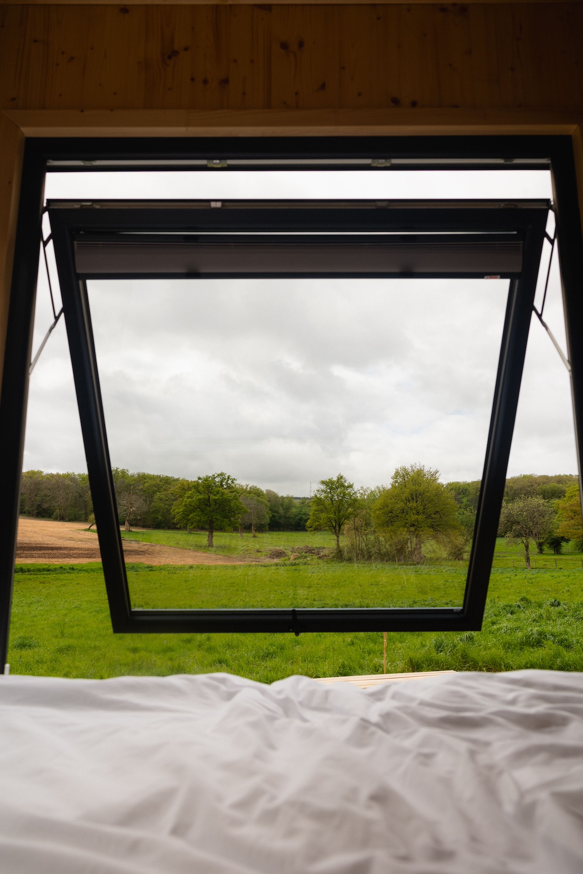Une escapade en Tiny House à l'orée de la forêt près de Sancerre à Le Noyer — vue depuis la terrasse
