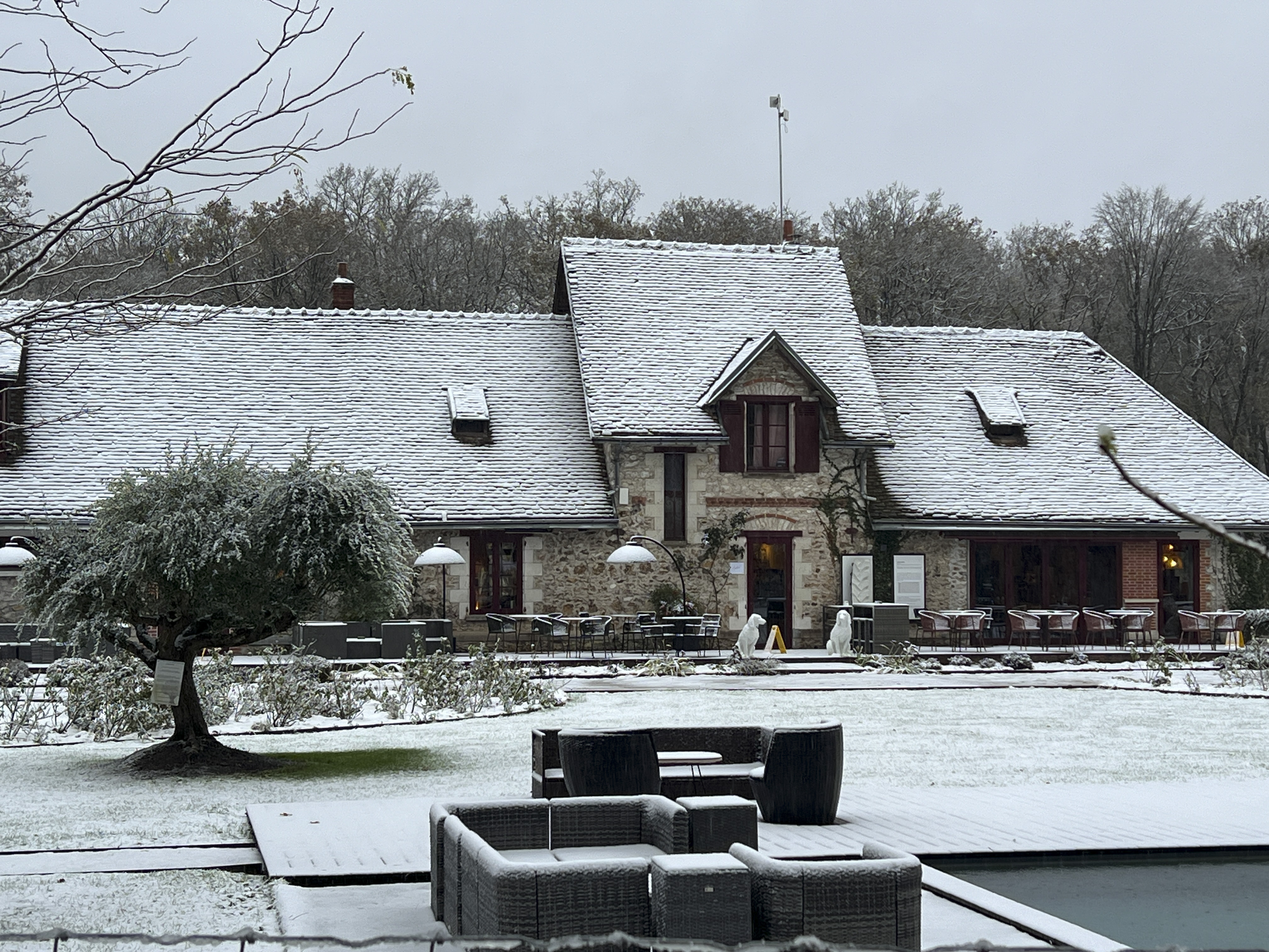 Lodge Picto Heaven & Spa : une expérience suspendue à Esvres-Sur-Indre — environnement naturel