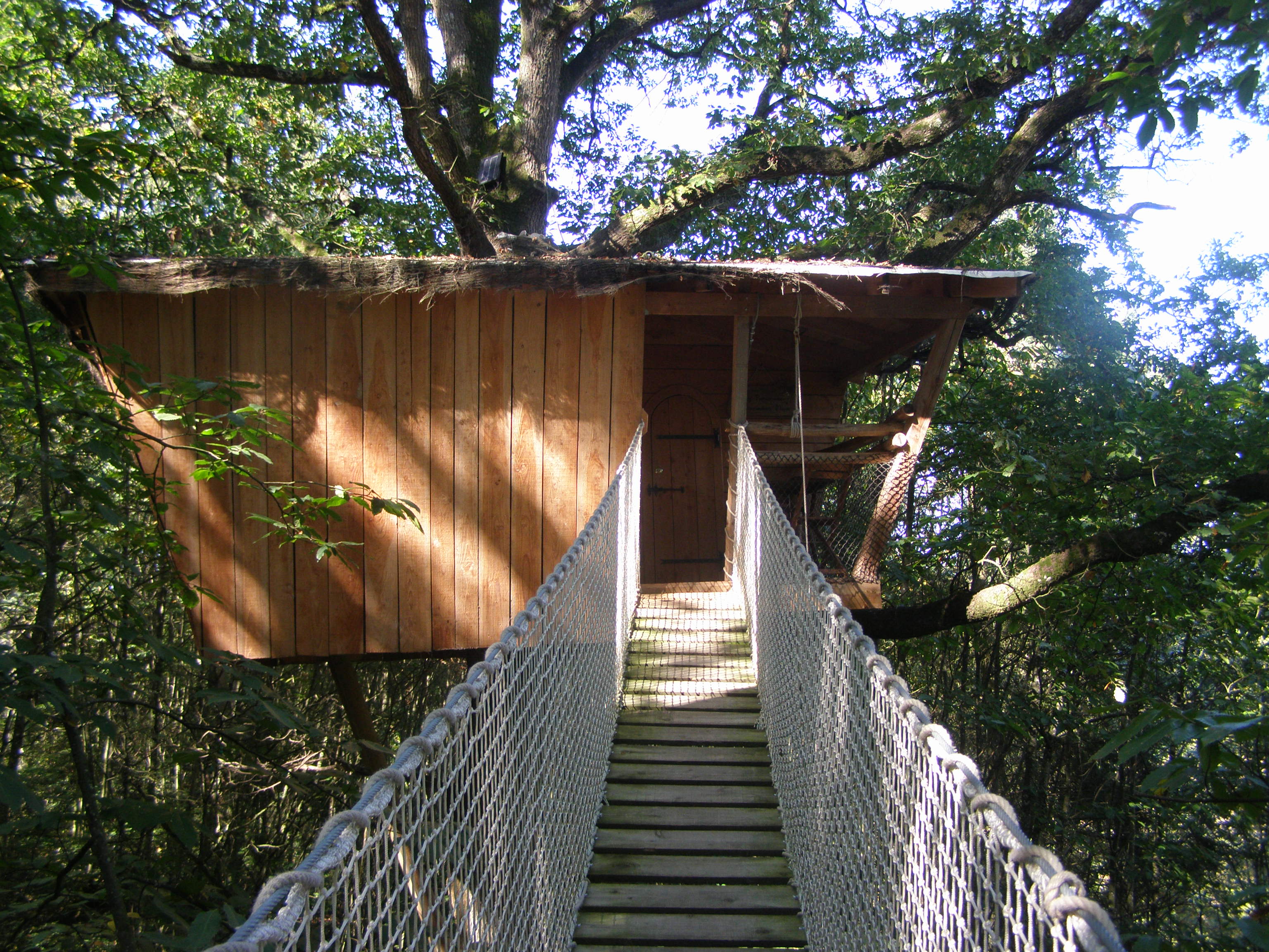 Cabane Hulotte — Nuit perchée à 8m dans les arbres en Mayenne à L'Orbière — vue intérieure
