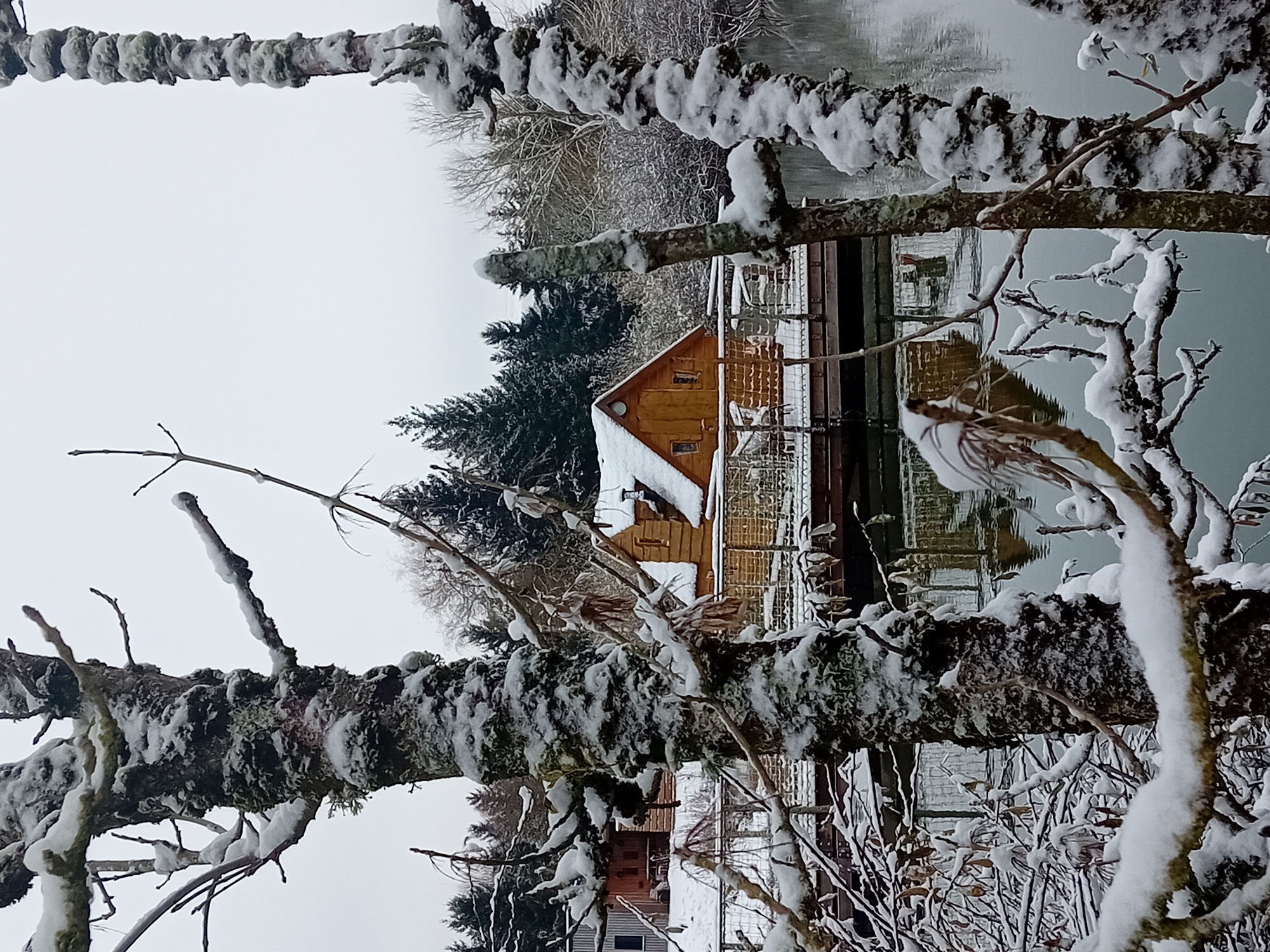 La cabane Magique : une échappée belle sur l'eau à Givrauval — détail architectural