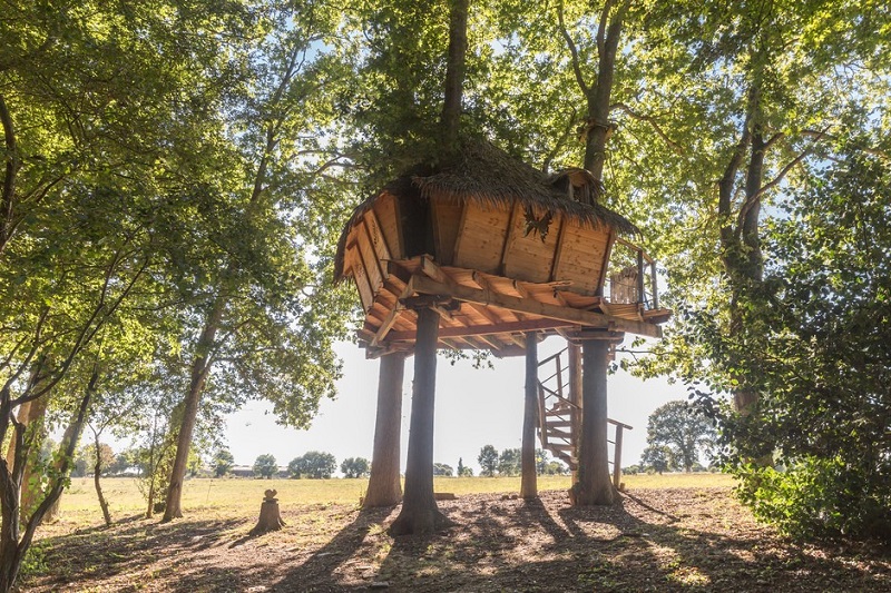 Cabane Butterfly : une expérience suspendue dans les arbres à St Aubin Des Préaux — vue intérieure