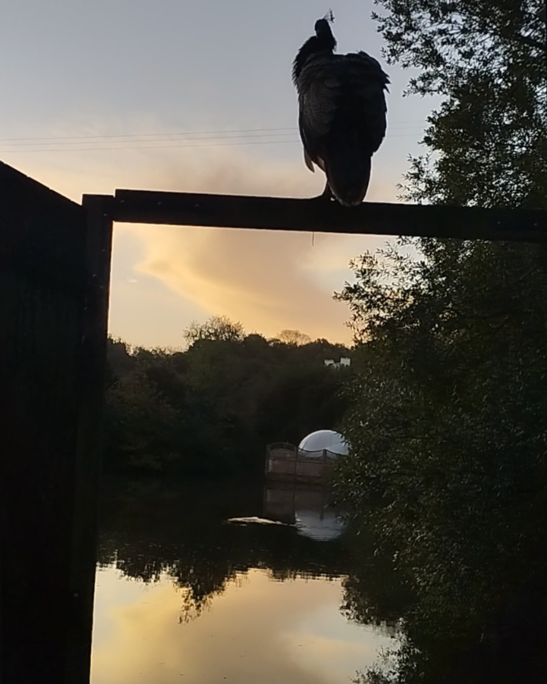 Bulle SPA — Nuit étoilée avec jacuzzi à Finistère à Saint-Ségal — environnement naturel