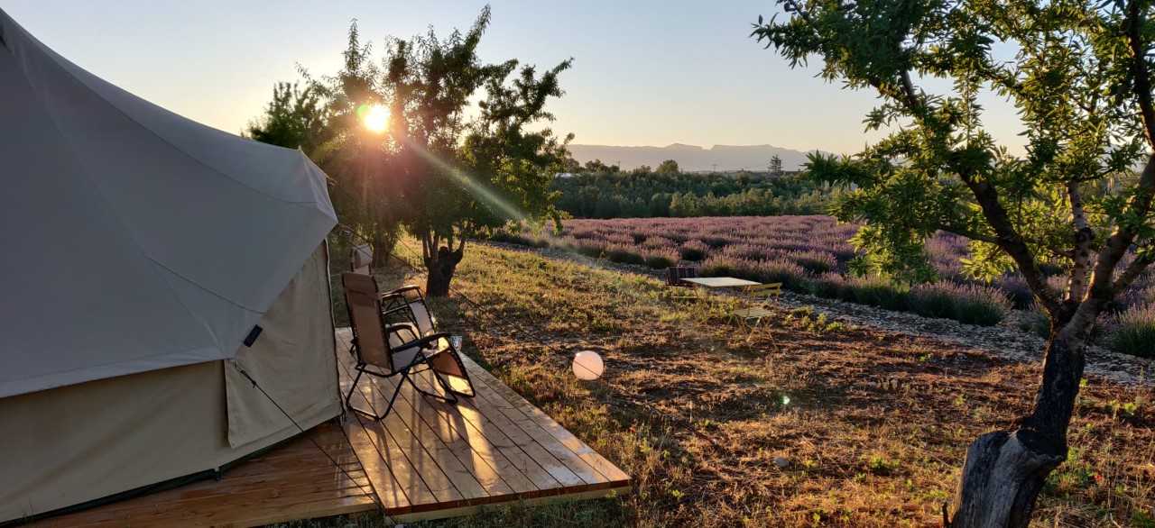 Les Lavandes : une expérience unique en tente lodge