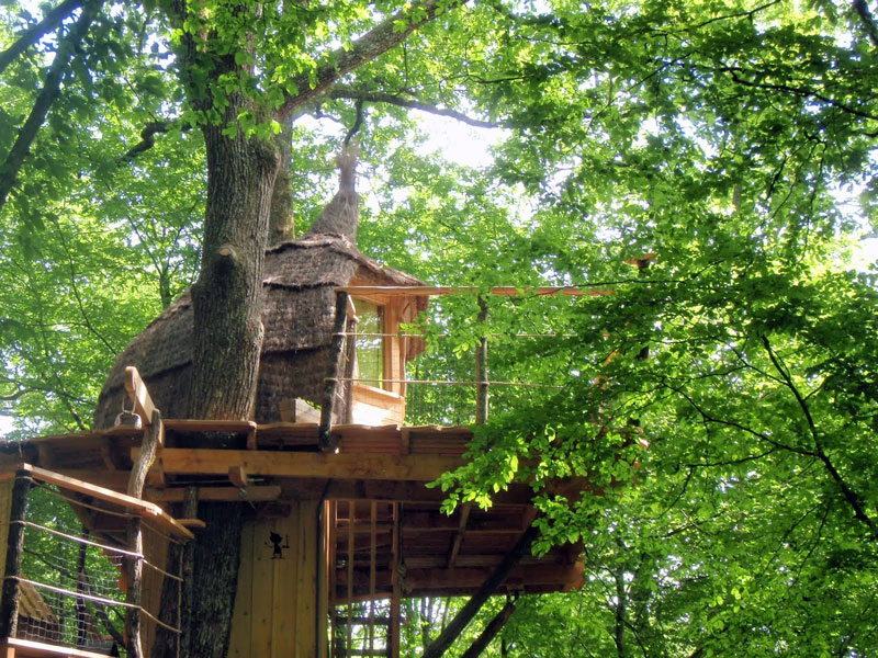 Cabane Canopée : une immersion dans les arbres en Franche-Comté
