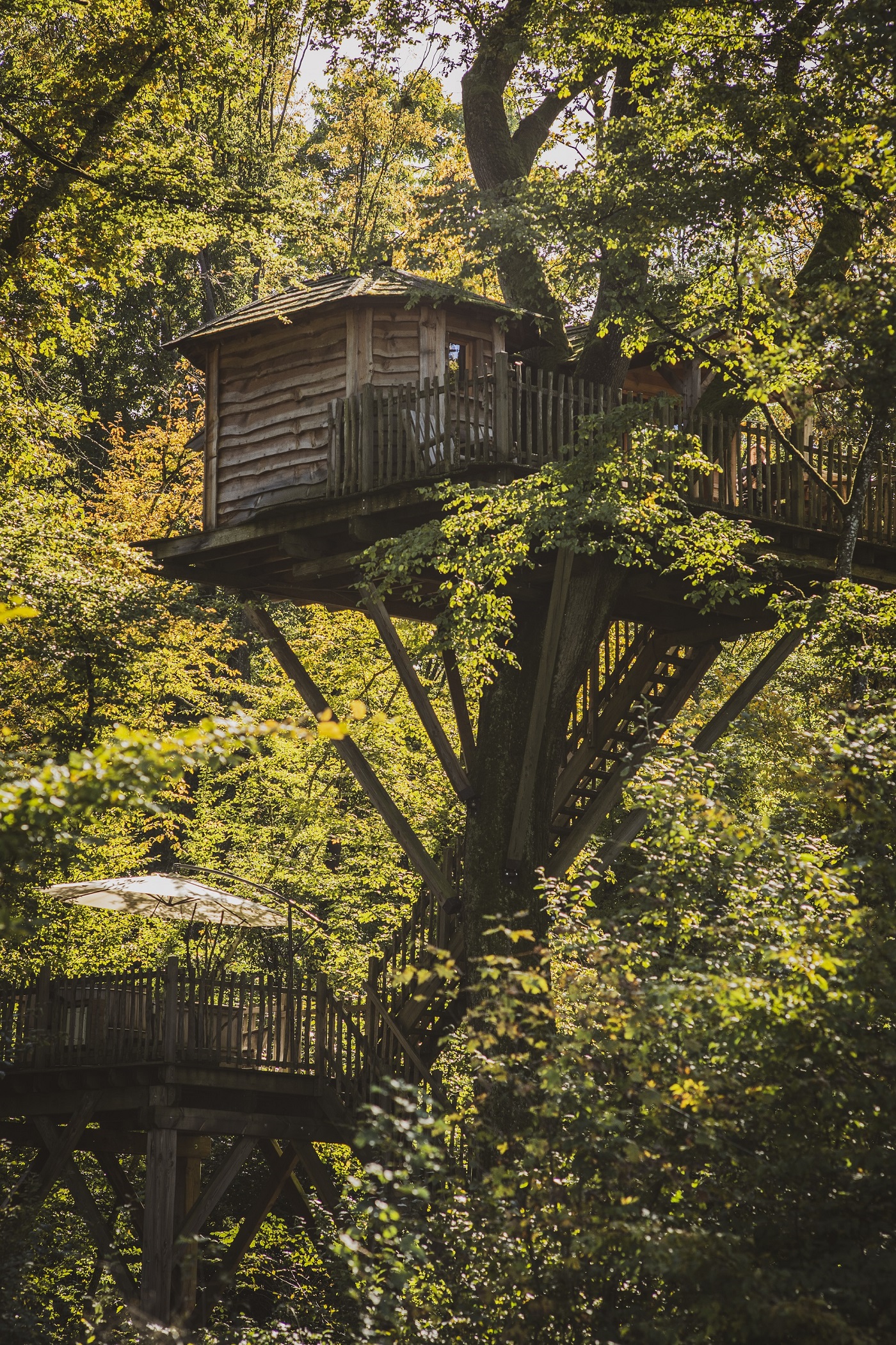 Cabane Spa Echo : une expérience suspendue dans les arbres à Joncherey — espace de vie