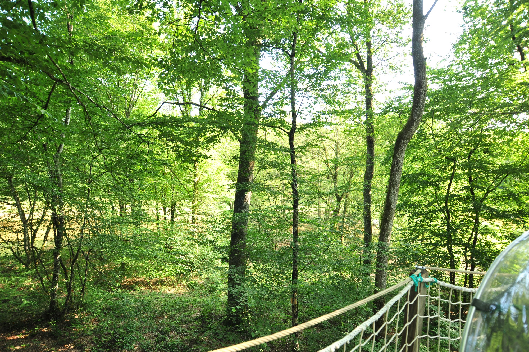Vivez l'expérience unique d'une nuit dans une bulle suspendue en Franche-Comté à Mont Sous Vaudrey — environnement naturel