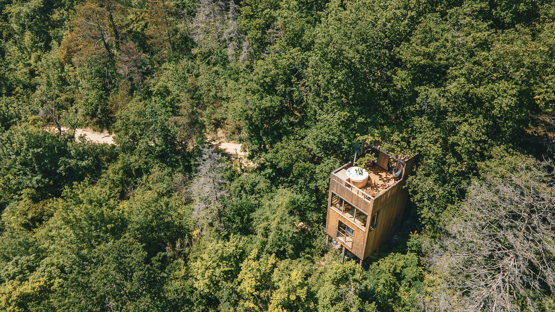 La Palombière 4 : une cabane sur pilotis avec spa en Aquitaine