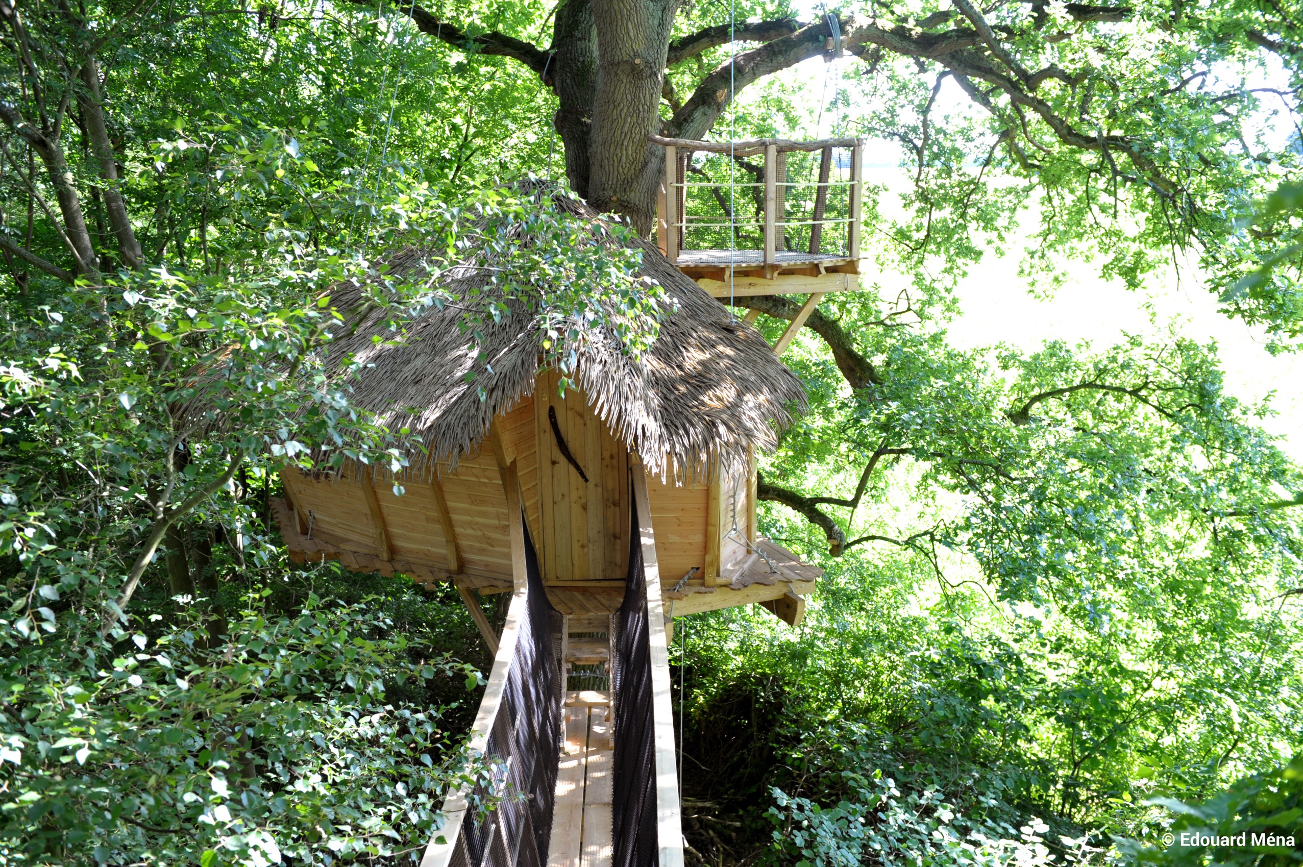 Baron perché : une cabane dans les arbres pour une expérience unique à St Germain Des Essourts — vue intérieure