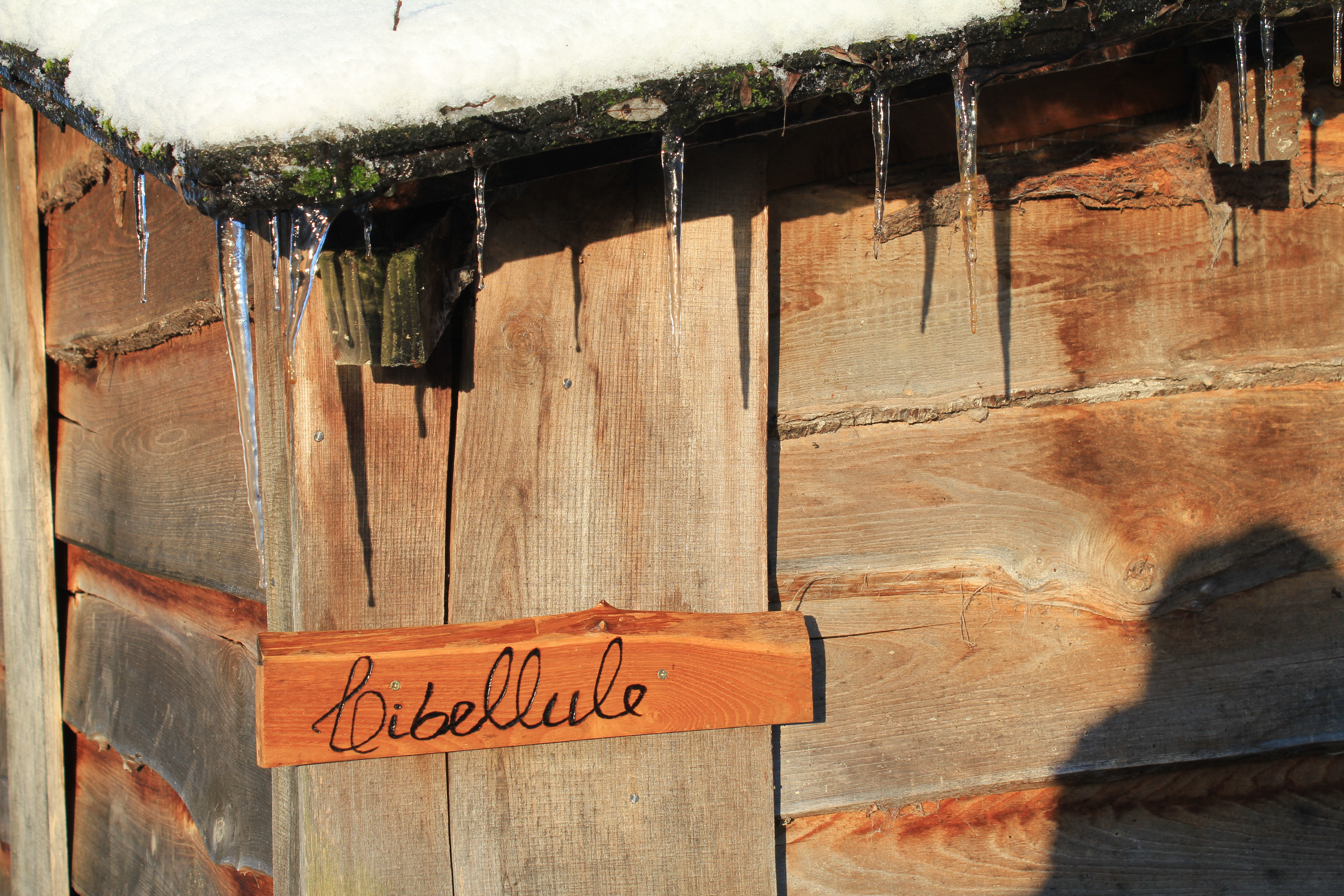 Cabane sur l'eau Libellule : une expérience immersive au cœur de la nature à Batilly-En-Puisaye — espace de vie