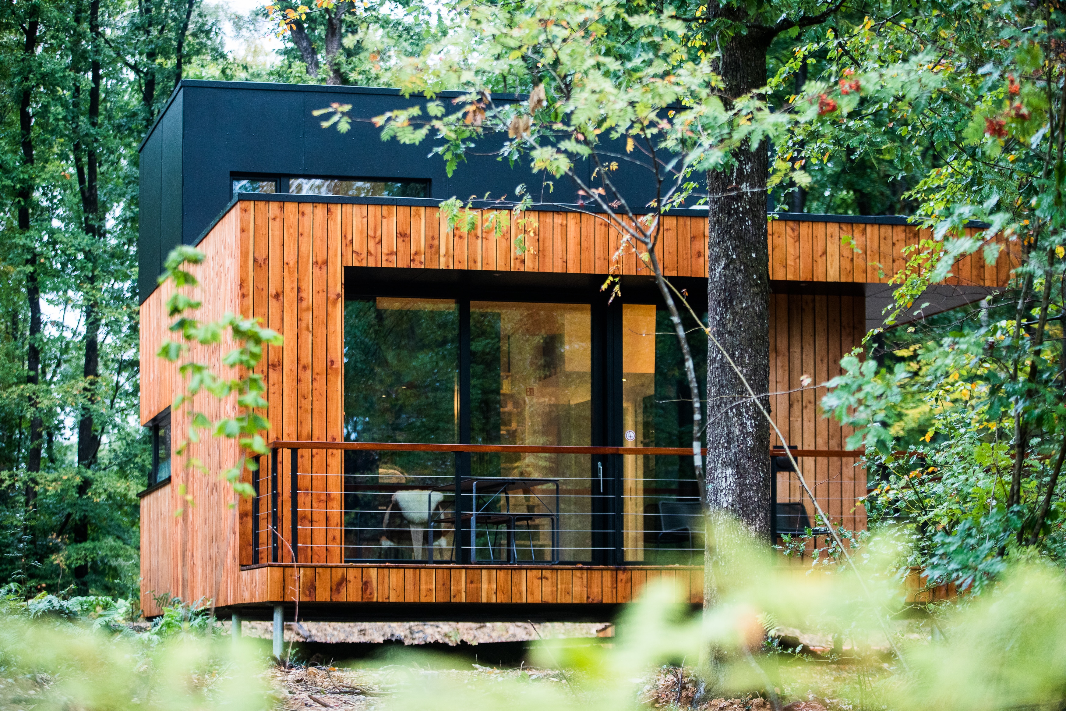 Ecolodge « Forest Cube — Ecolodge avec spa à Namur » — Namur (Wallonie)