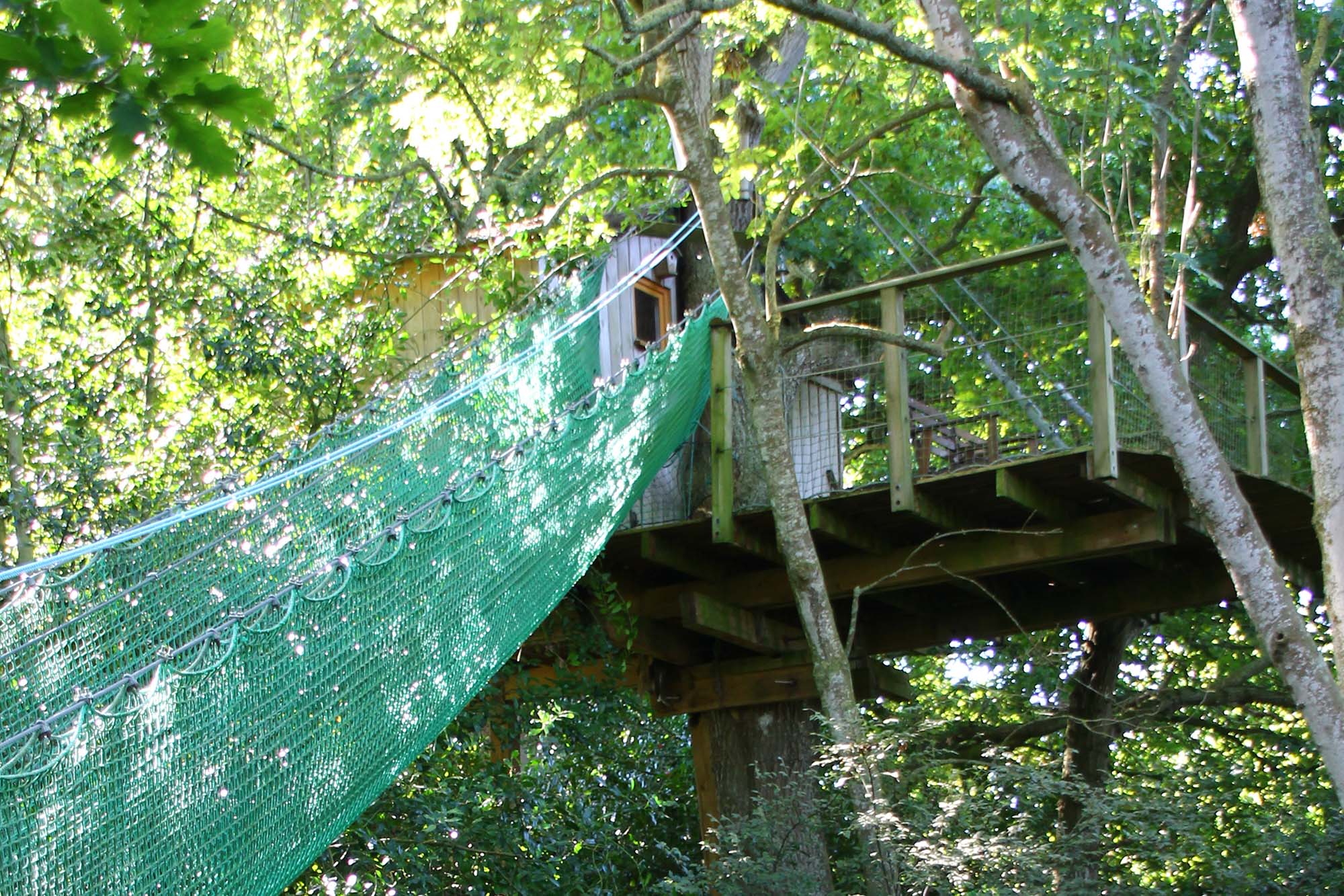 Cabane Tour : une expérience suspendue dans les arbres