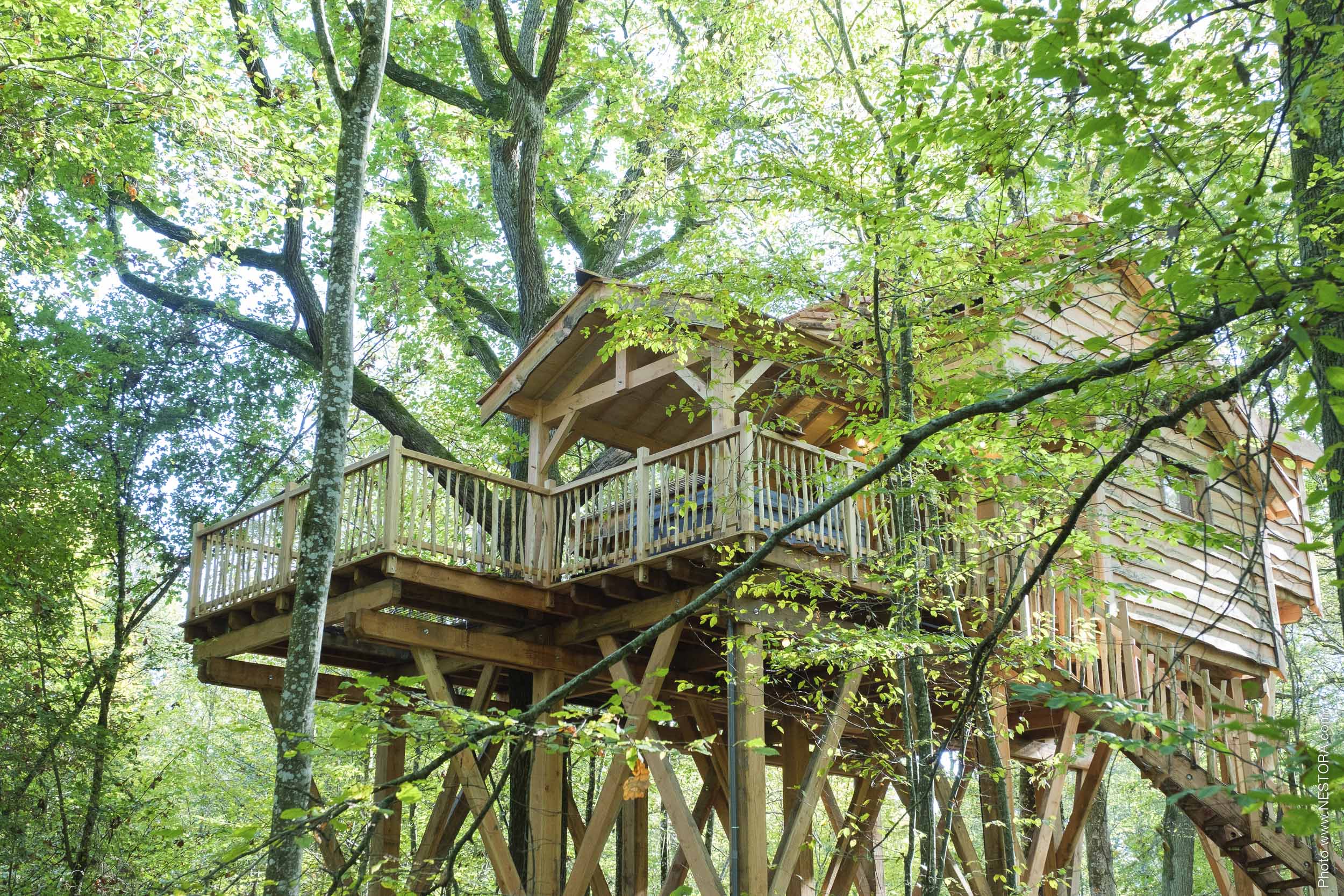 La Cabane du Grand Chêne & Spa : une évasion dans les arbres