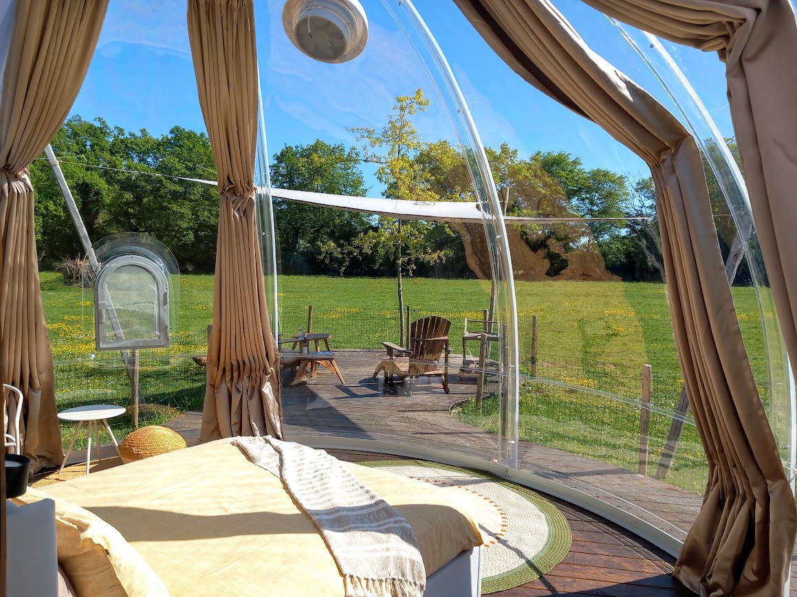 La Bulle des Alpagas : une expérience immersive au cœur de la nature à Herry — chambre