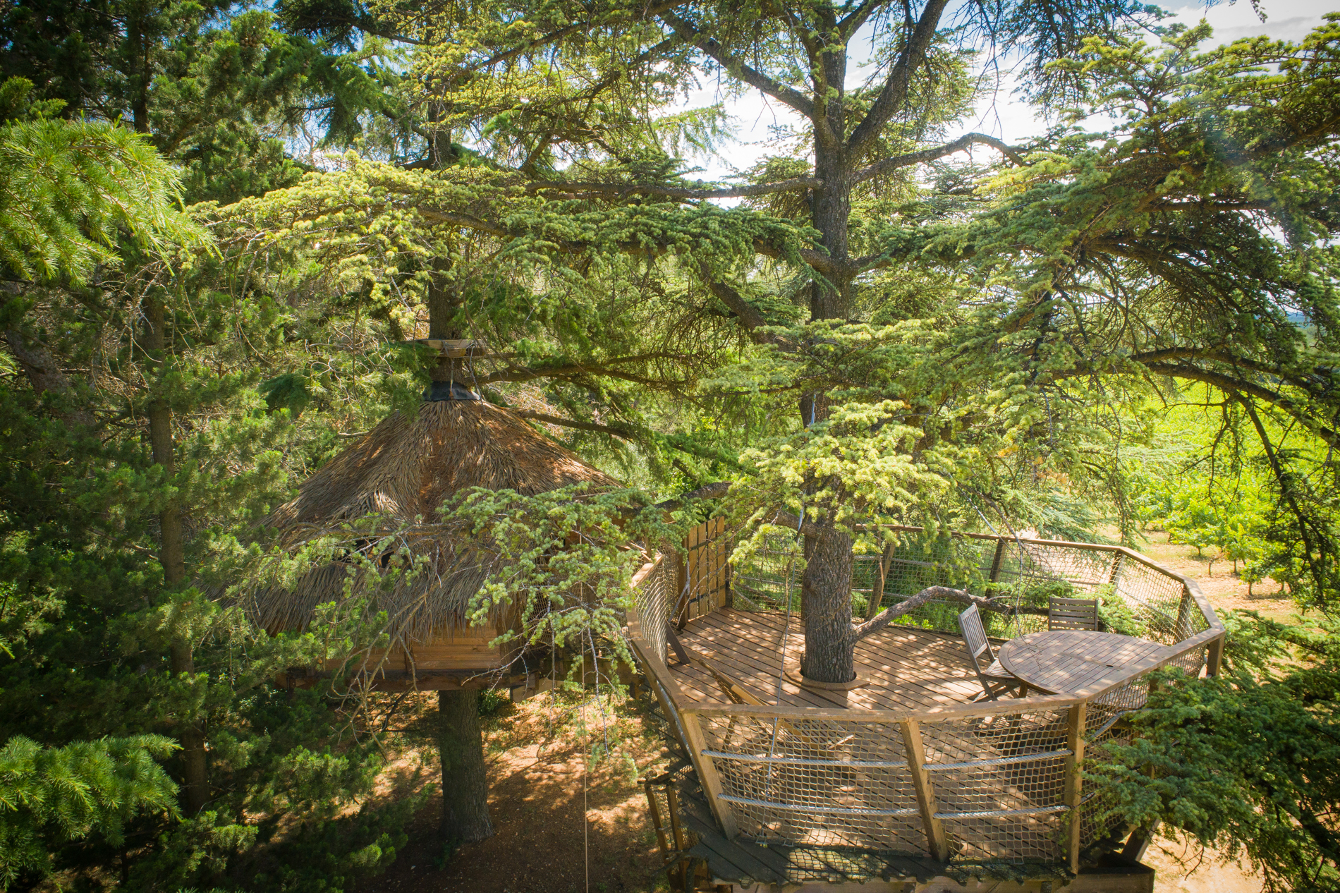 Crécerelle : une cabane dans les arbres au cœur de l'Occitanie à Castries — espace de vie