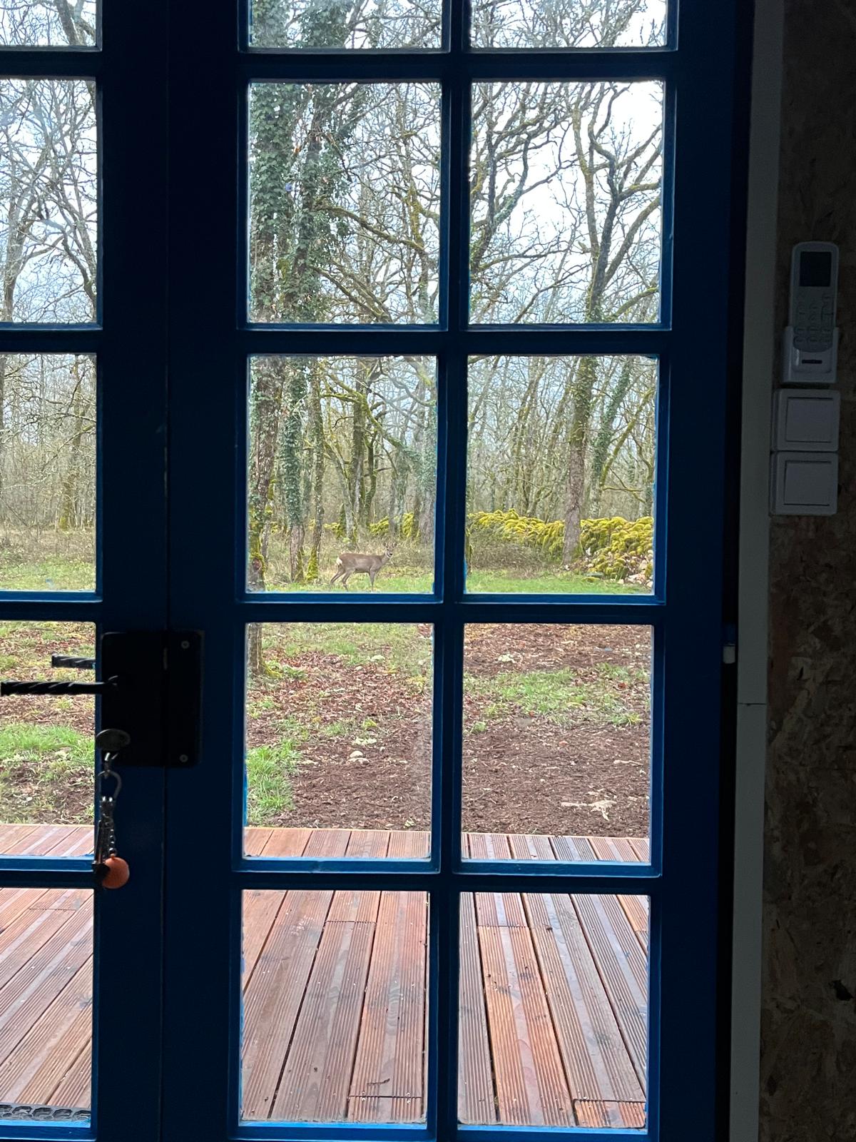 Le Refuge Des Bois de Morphée : une cabane immersive en pleine nature à Escamps — environnement naturel