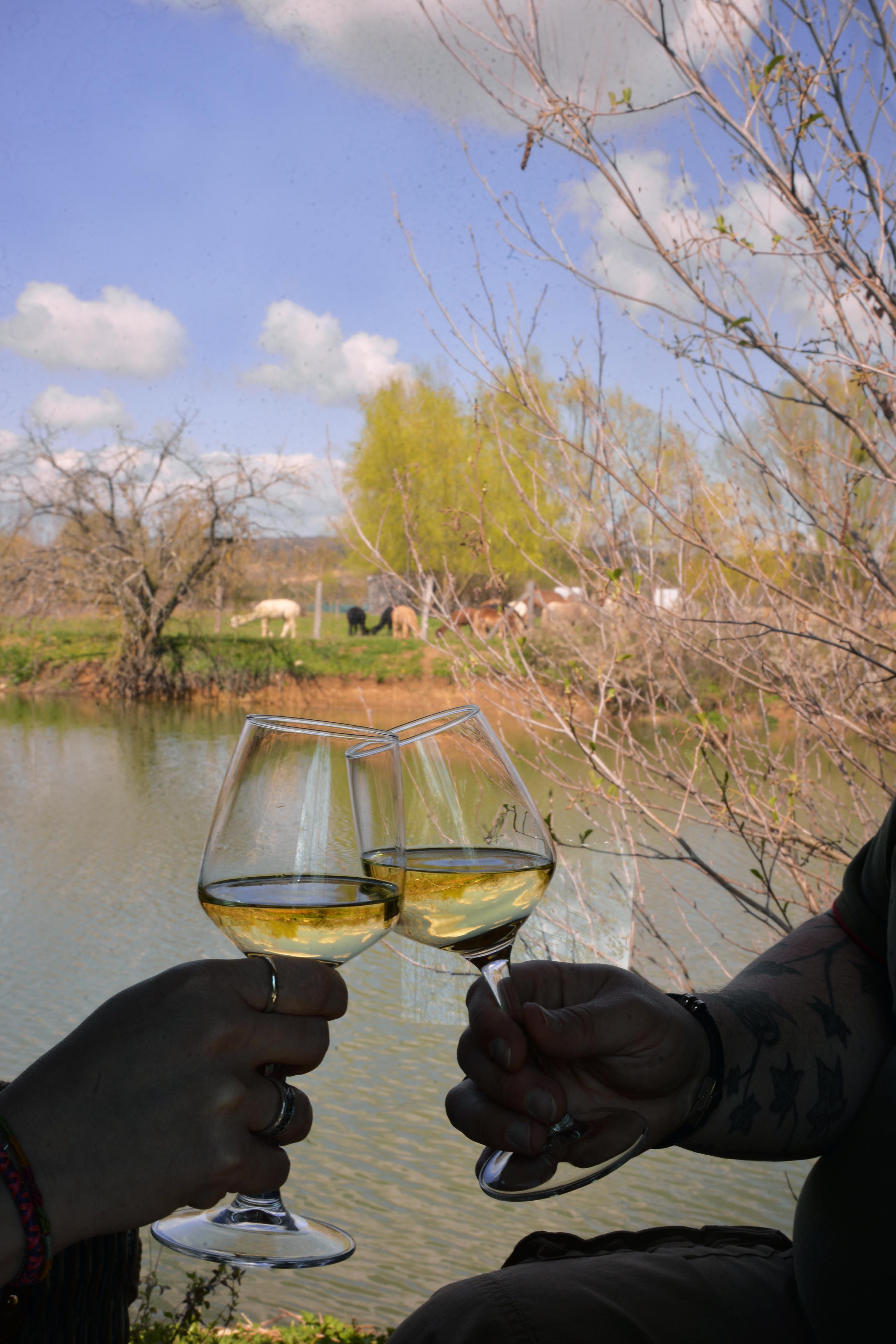 Lodge Duo Flottant avec spa et sauna privatif en Bourgogne à Chablis — espace de vie