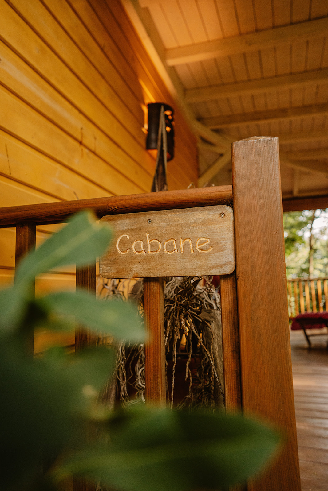La Cabane aux étoiles : une immersion dans les cimes de la Guadeloupe à Deshaies — espace de vie