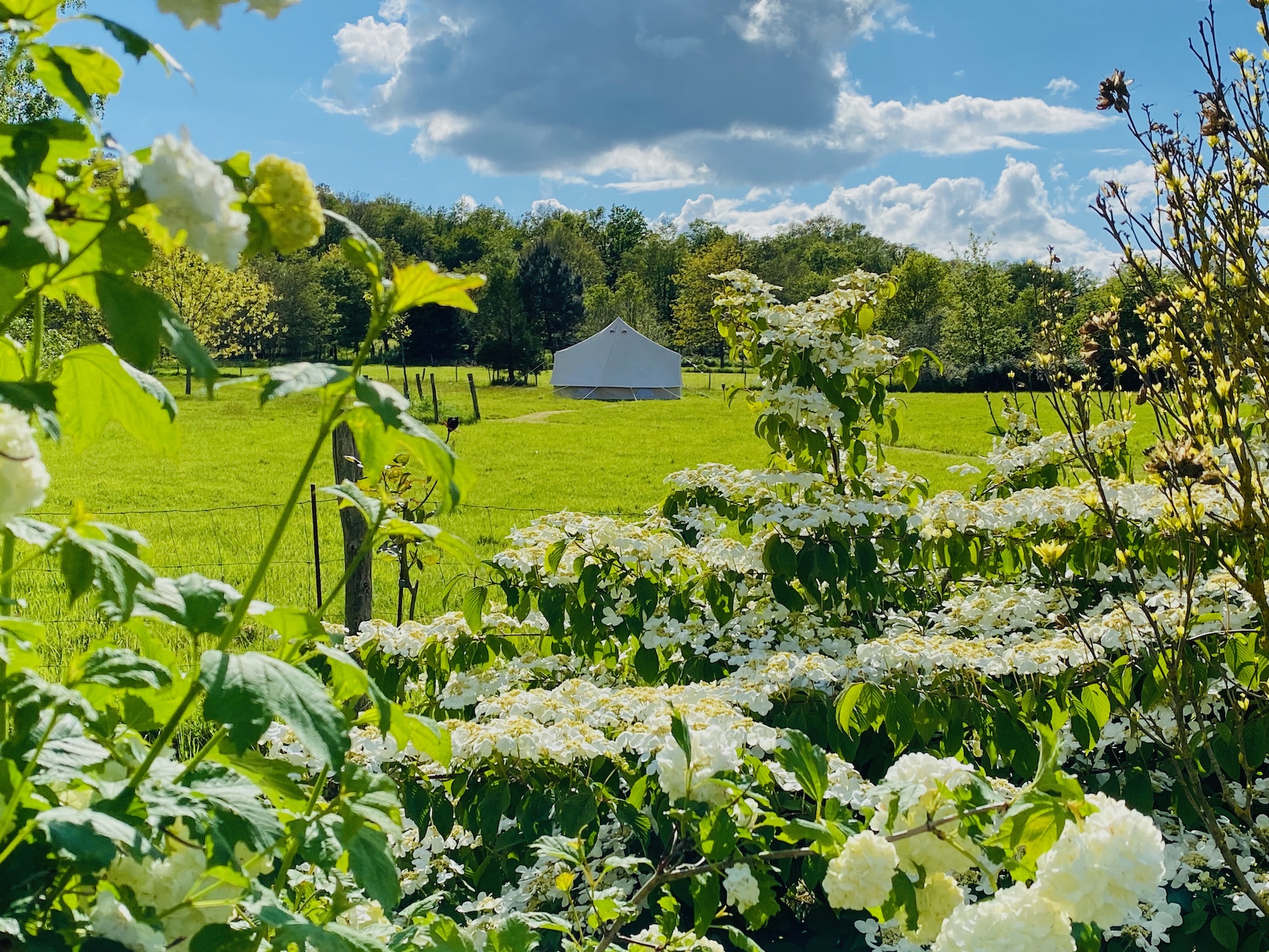 Sunny Lodge : une expérience immersive en pleine nature à Saint Nicolas De Redon — environnement naturel