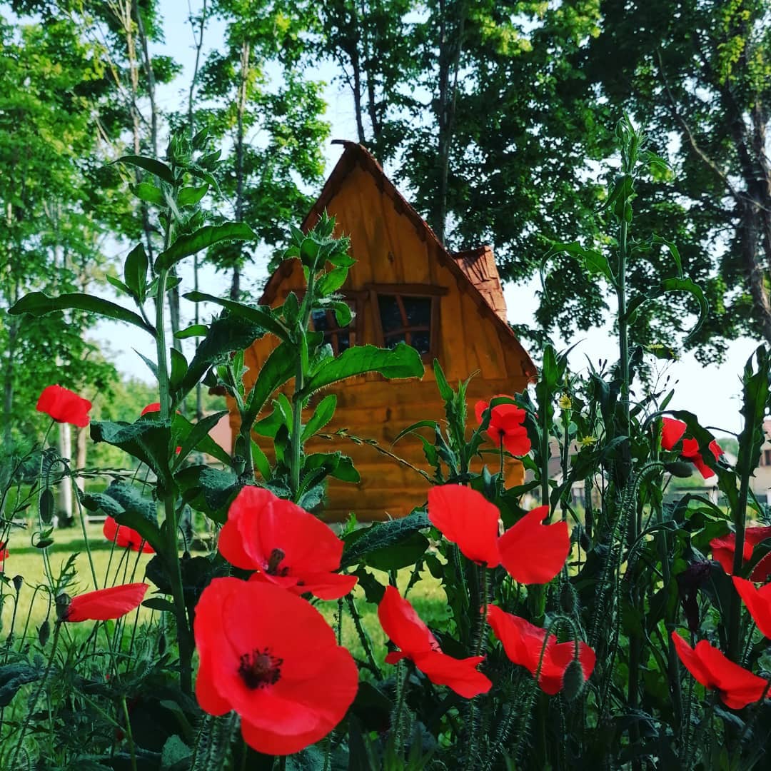 Petite Cabane de la Gare — Séjour romantique avec spa à Lurey (Marne) à Esclavolles-Lurey — espace de vie
