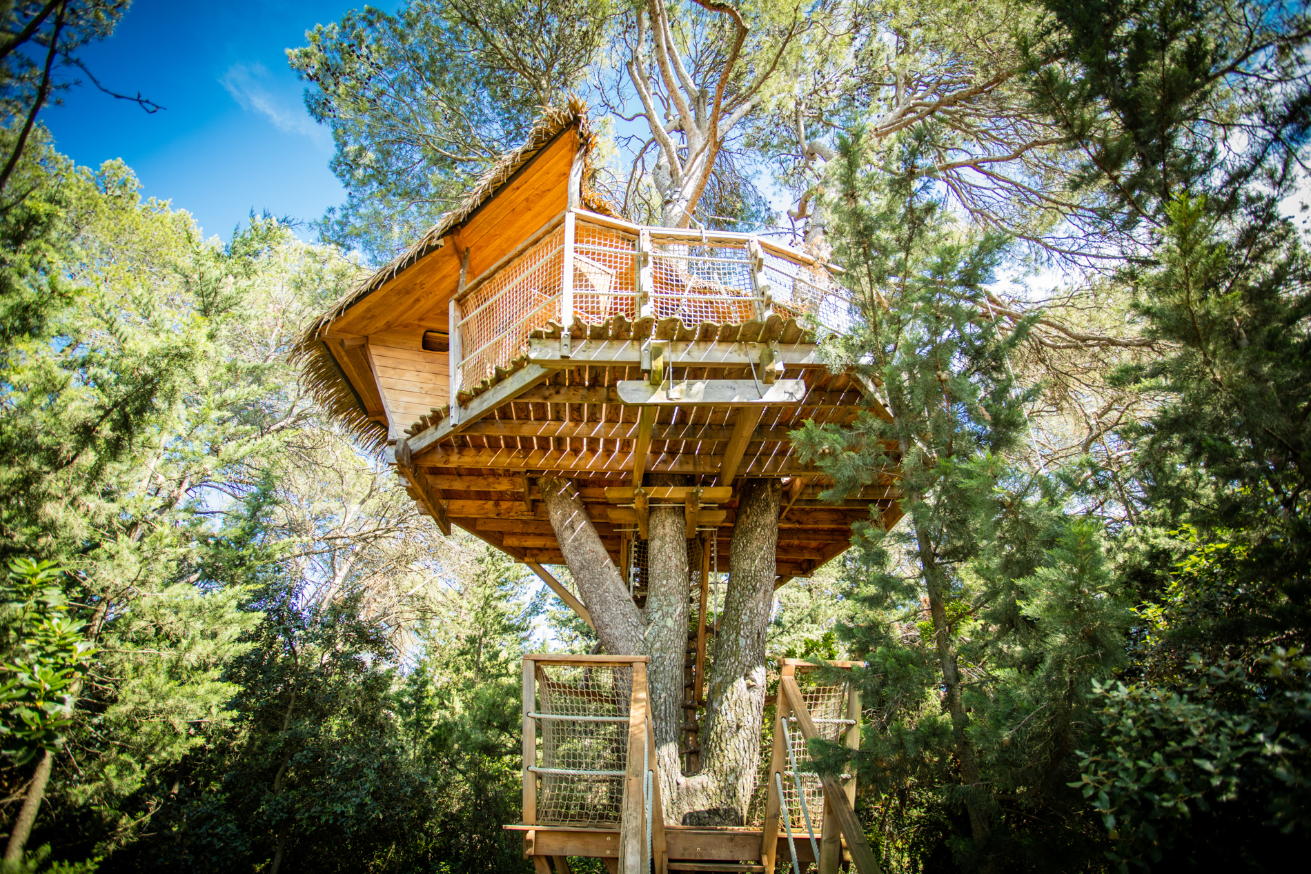 Évasion en cabane : Tourterelle, un refuge dans les arbres à Castries — vue intérieure