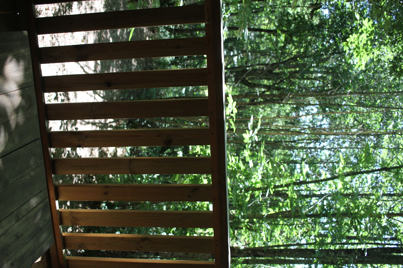 Tente Lodge Forestière — Séjour glamping à 8m en Dordogne à Alles-sur-Dordogne — environnement naturel