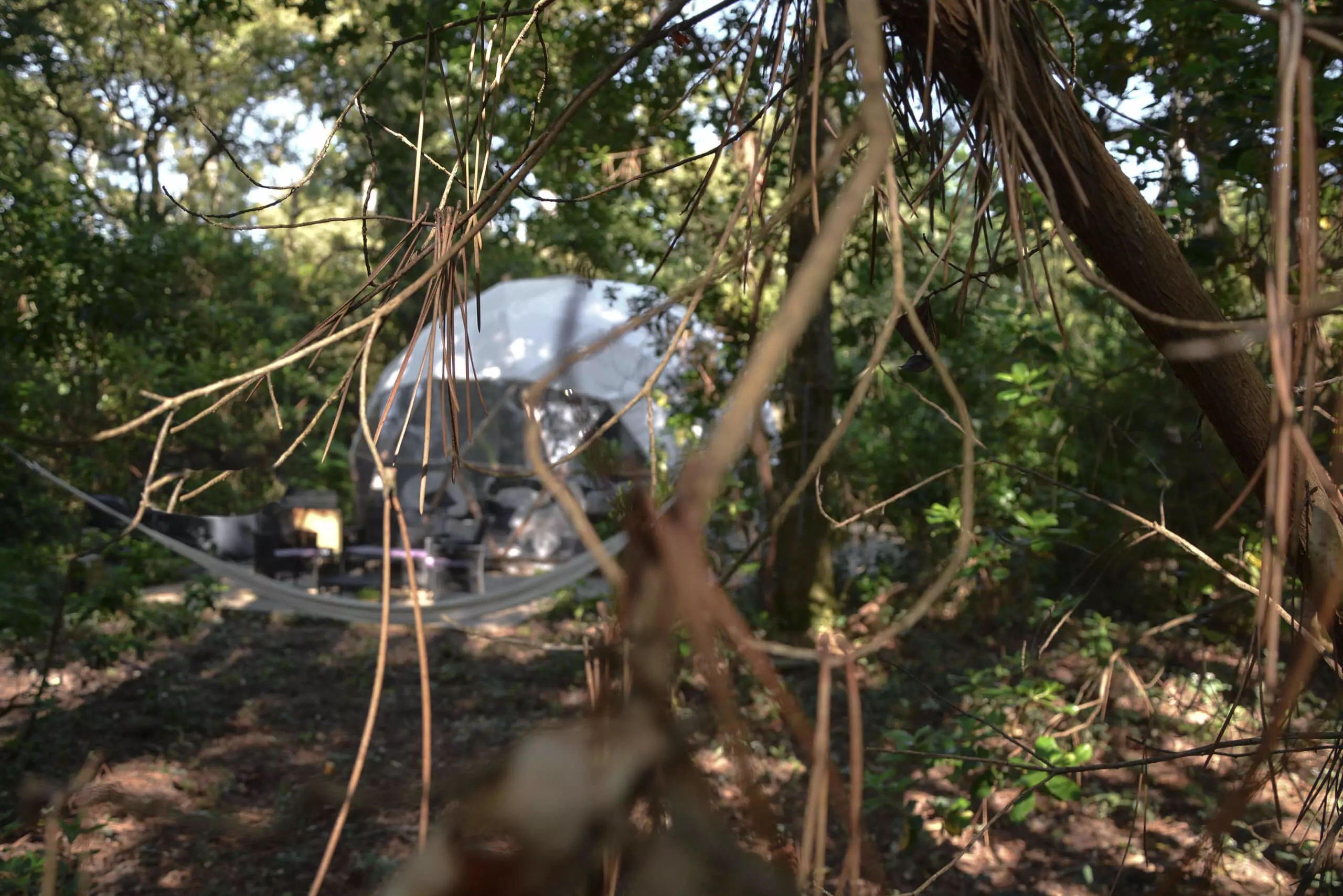 Dôme en Aquitaine : une expérience immersive à Hossegor à Hossegor — cuisine