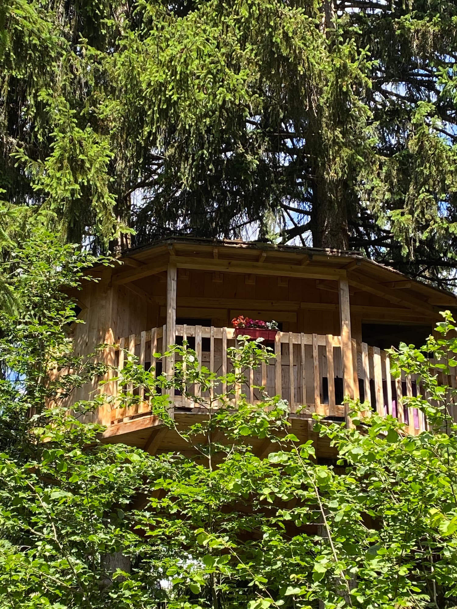 Cabane la Marmotte — Nuit perchée à 8m face au Mont Blanc en Haute-Savoie