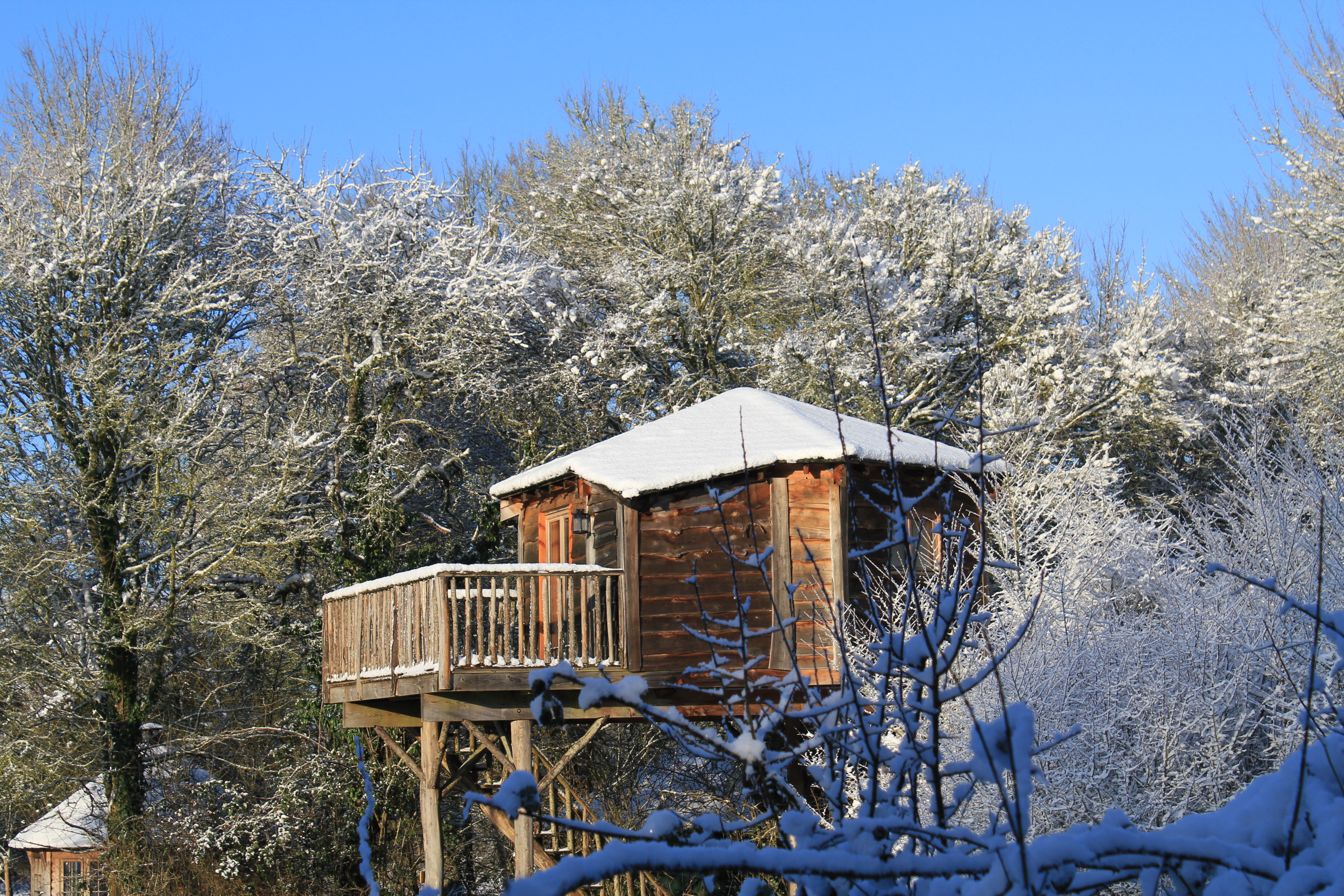 Cabane Les 3 Chouettes : une expérience suspendue dans les arbres à Batilly-En-Puisaye — vue intérieure