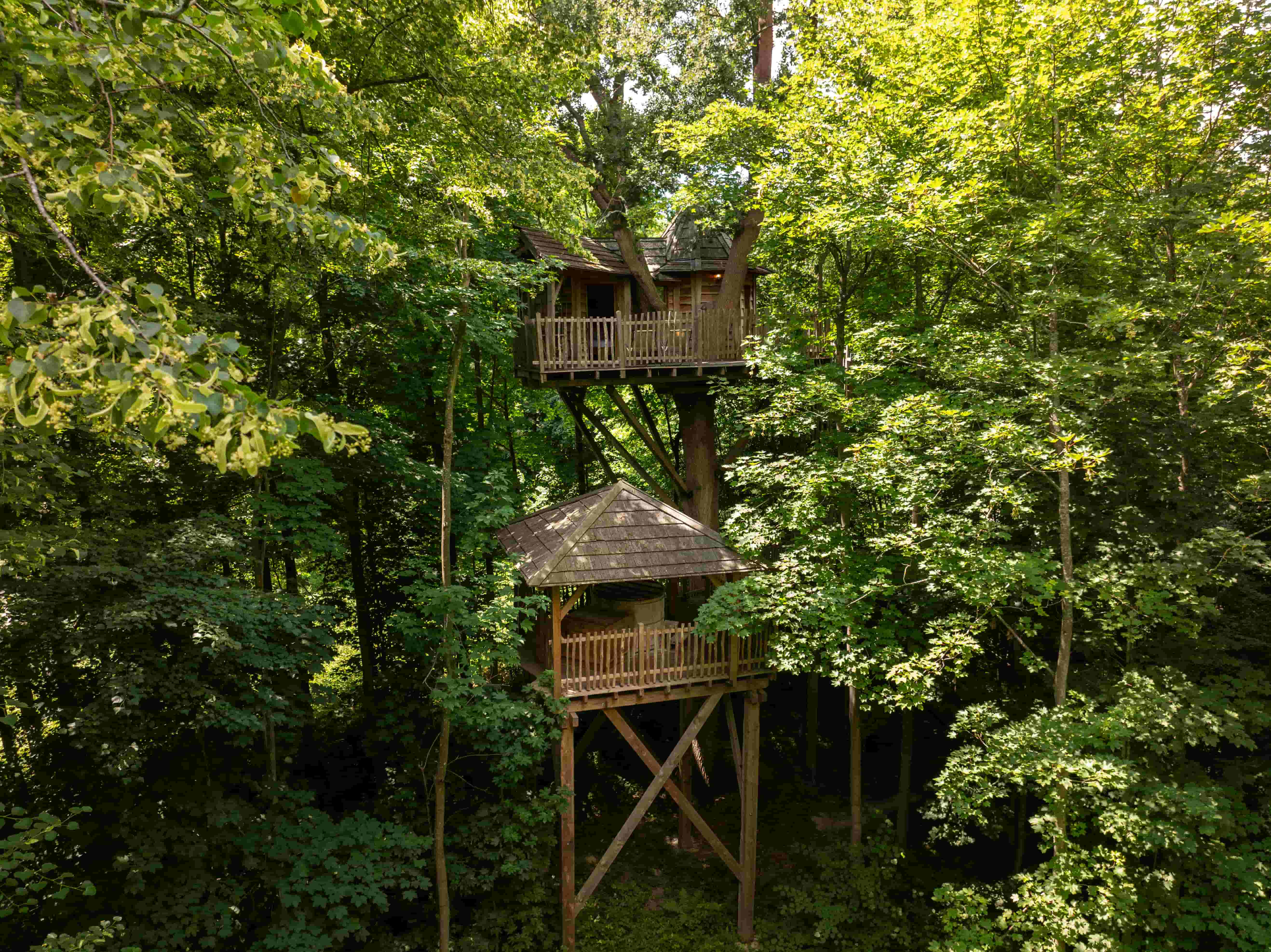 Cabane Spa Carpe Diem : une expérience unique dans les arbres