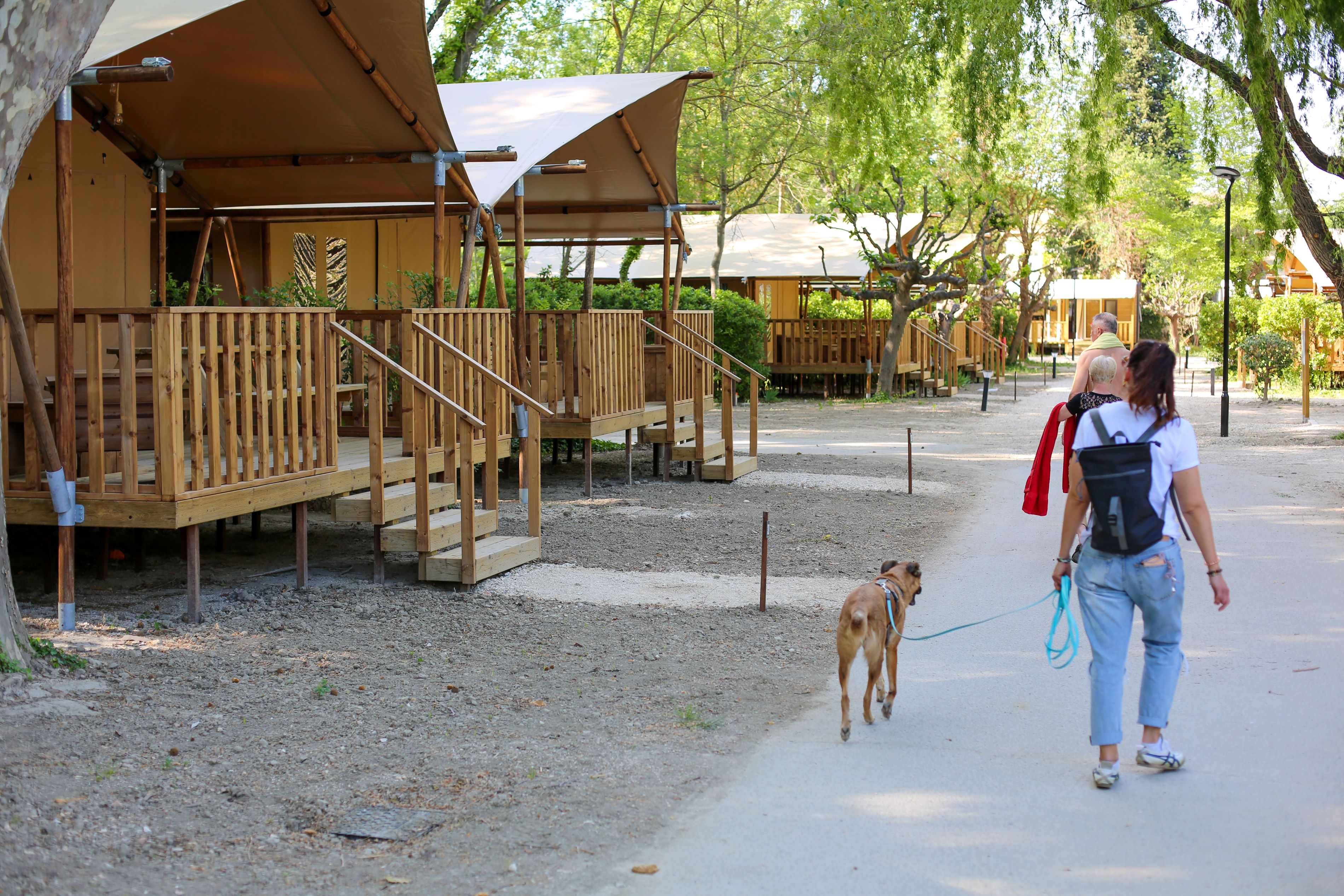 Lodge safari : une expérience immersive en pleine nature — Lodge à Avignon