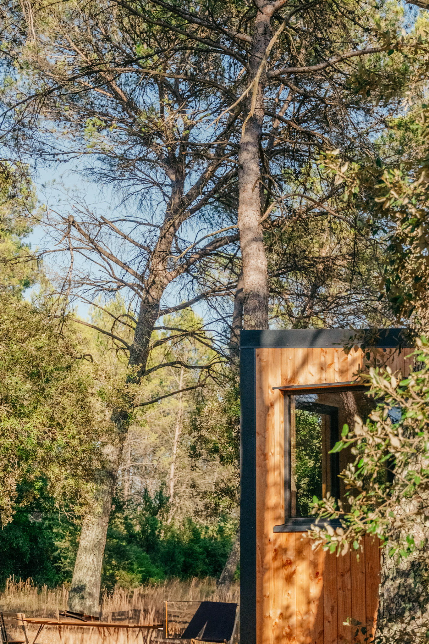 Flânerie Provençale — Tiny House avec spa à Le Luc (Var) à Le Luc — espace de vie