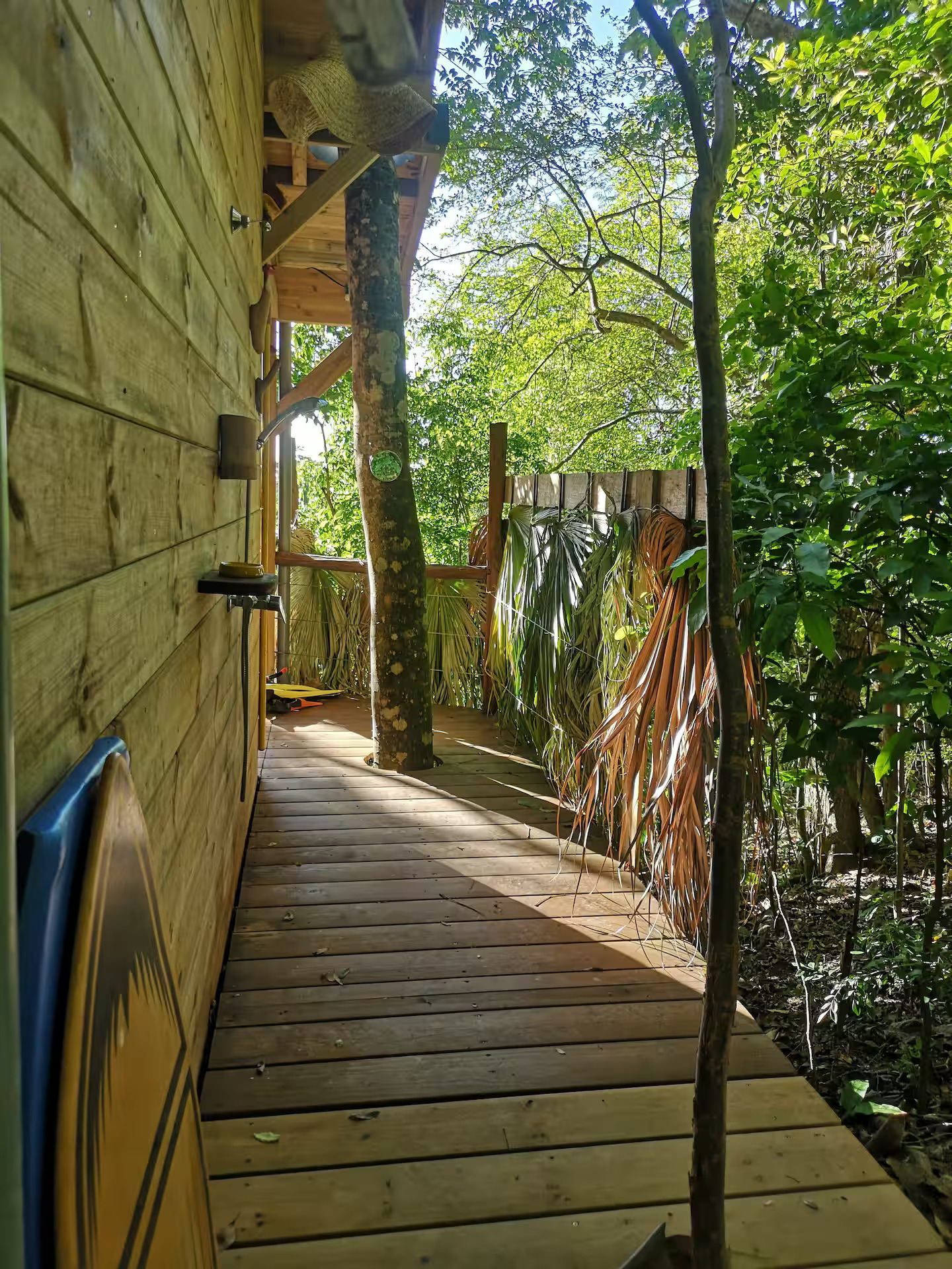 Ti Kabane Kaz Zion — Cabane dans les arbres avec vue mer en Guadeloupe à Basse-Terre — environnement naturel