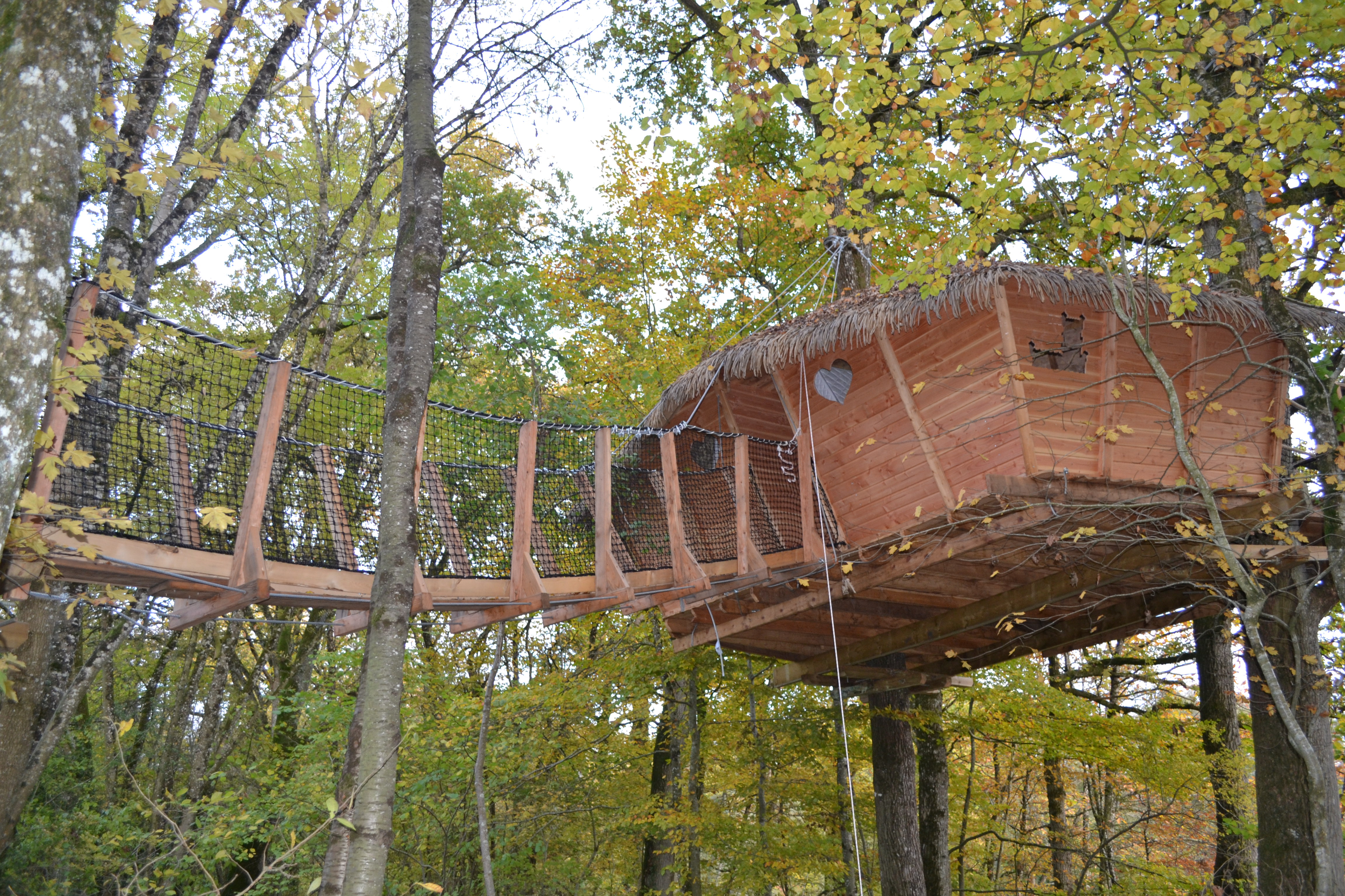 Cabane dans les arbres : une expérience immersive en Pays de la Loire à La Baconnière — espace de vie