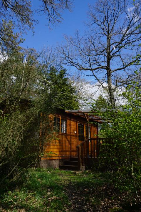 Cabane Spa Cinq Sens : une escapade sensorielle en Picardie à Rosoy-En-Multien — environnement naturel