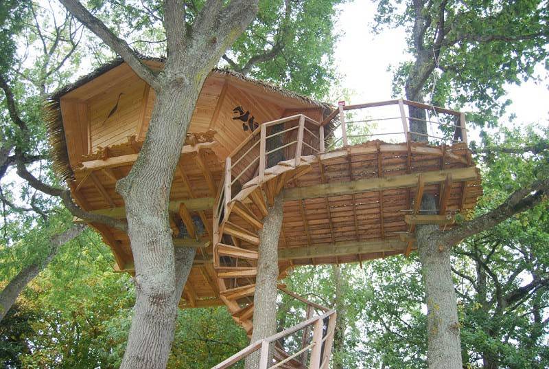 Une échappée belle dans les arbres : la cabane Dam'oiseaux à St Aubin Des Préaux — vue intérieure