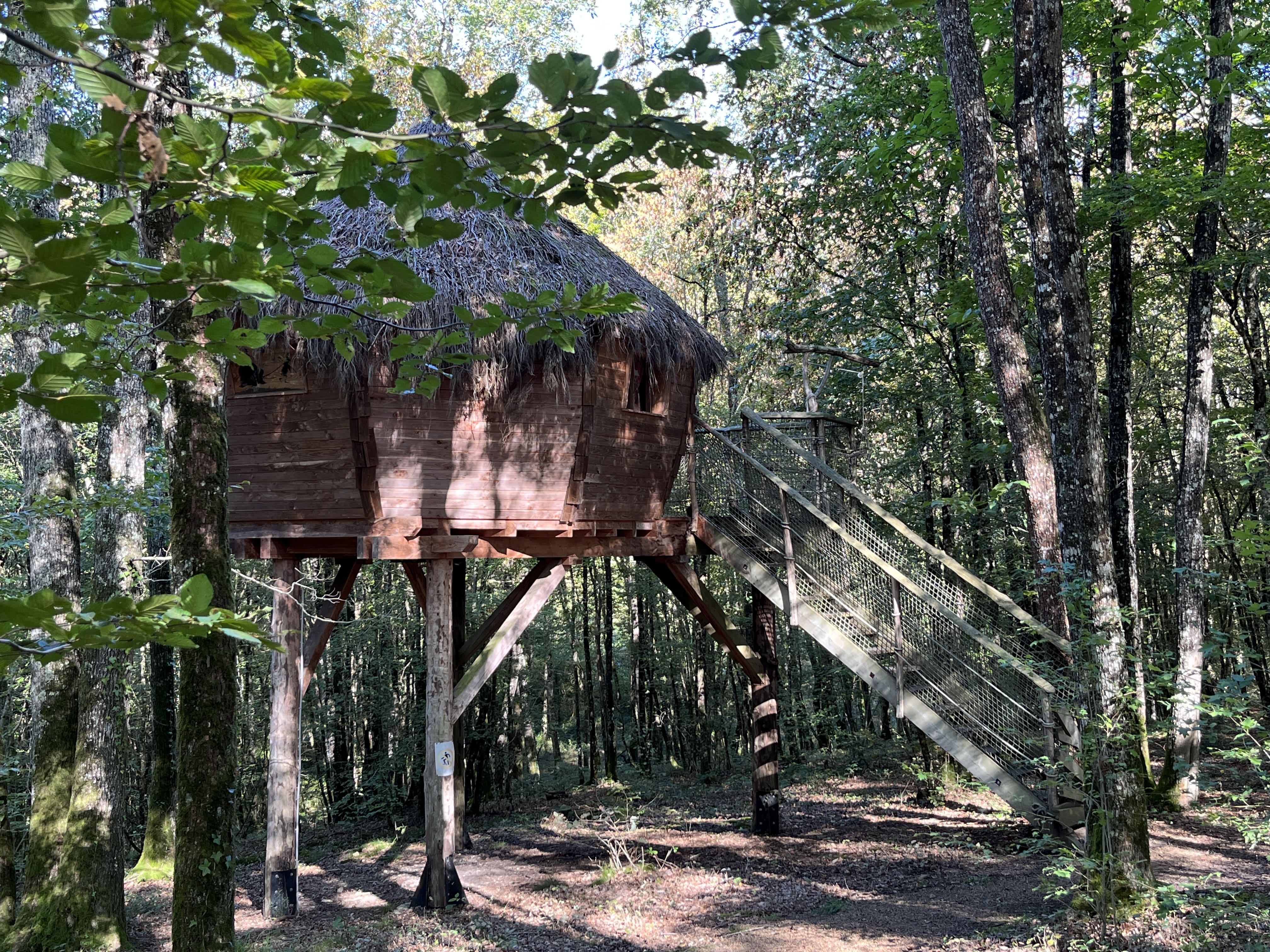 Cabane aux fées : une échappée enchantée sur pilotis