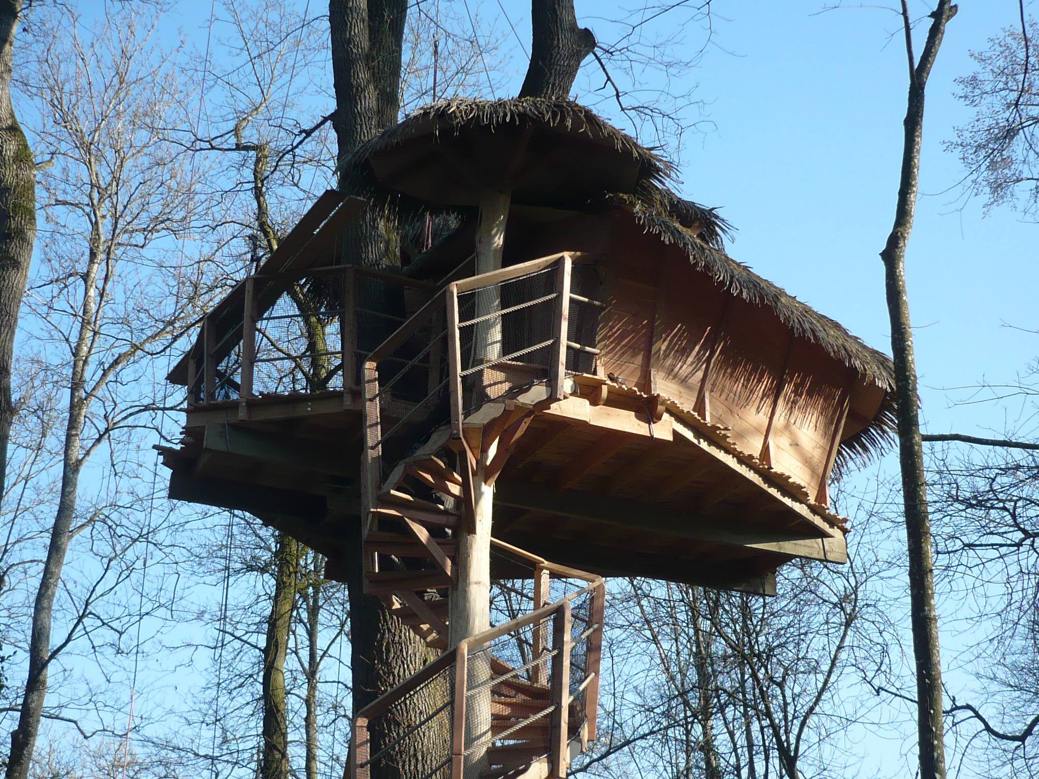 L'aventurière — Cabane dans les arbres avec spa à 7m en Maine-et-Loire