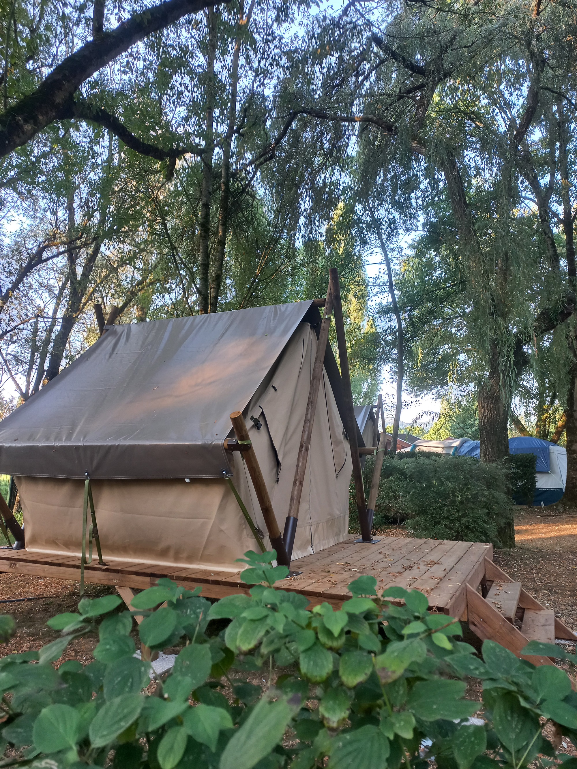 Bivouac Nomade : une expérience immersive en pleine nature à Vittel — vue intérieure