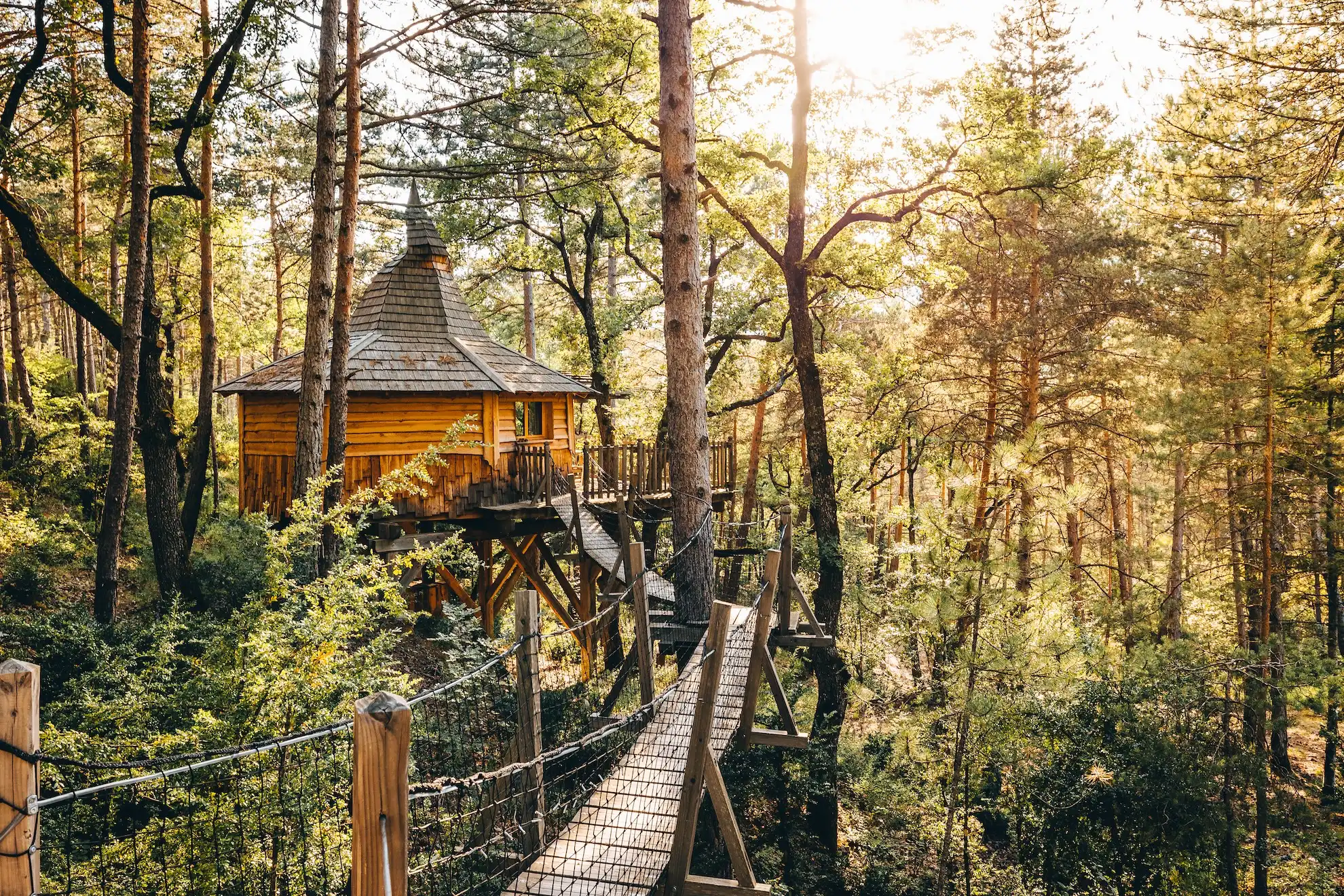 Aristoloche & Spa — Cabane dans les arbres à 7m dans les Hautes-Alpes