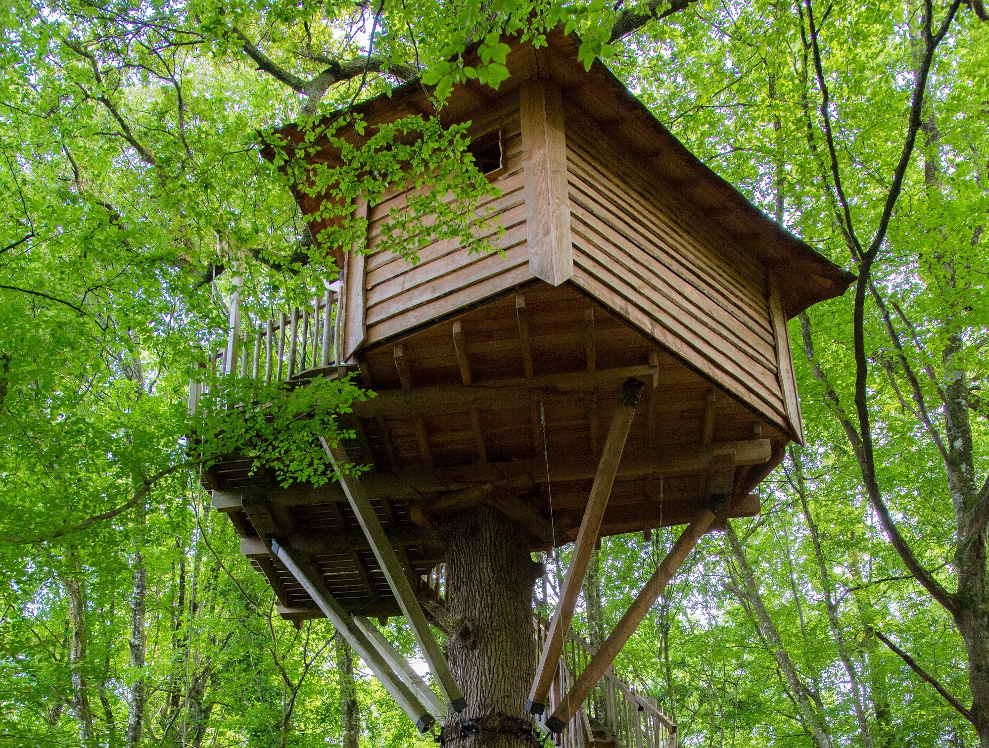 A la Folie : une cabane perchée au cœur de l'Aquitaine — Cabane à Coulx