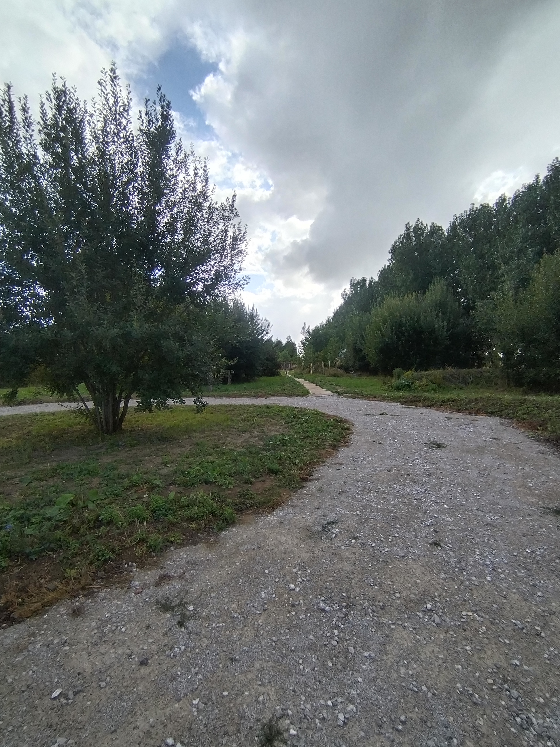 Zome Sweet Zome & Bain nordique