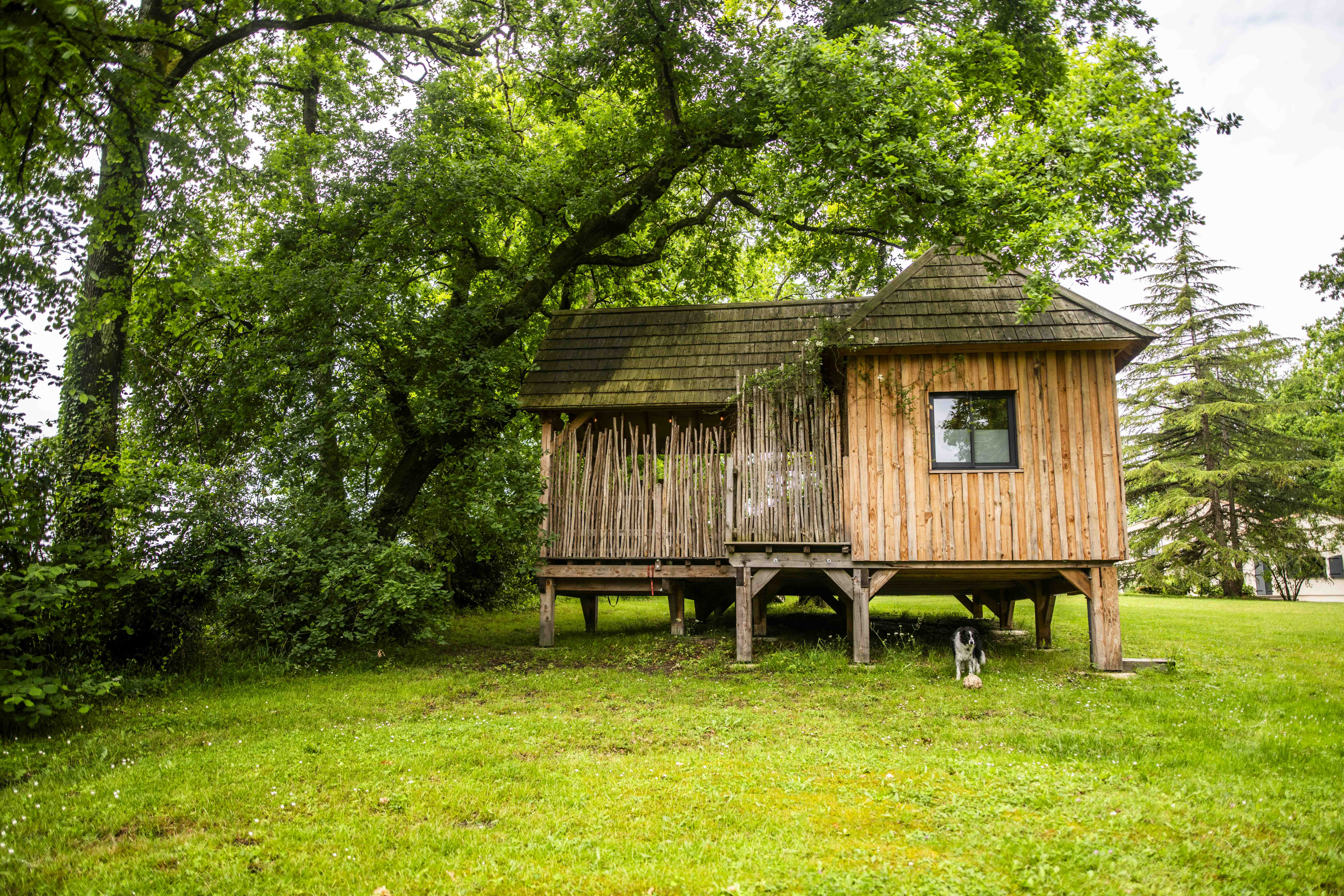 La Cabane le Carrelet & Spa : une expérience suspendue dans les arbres