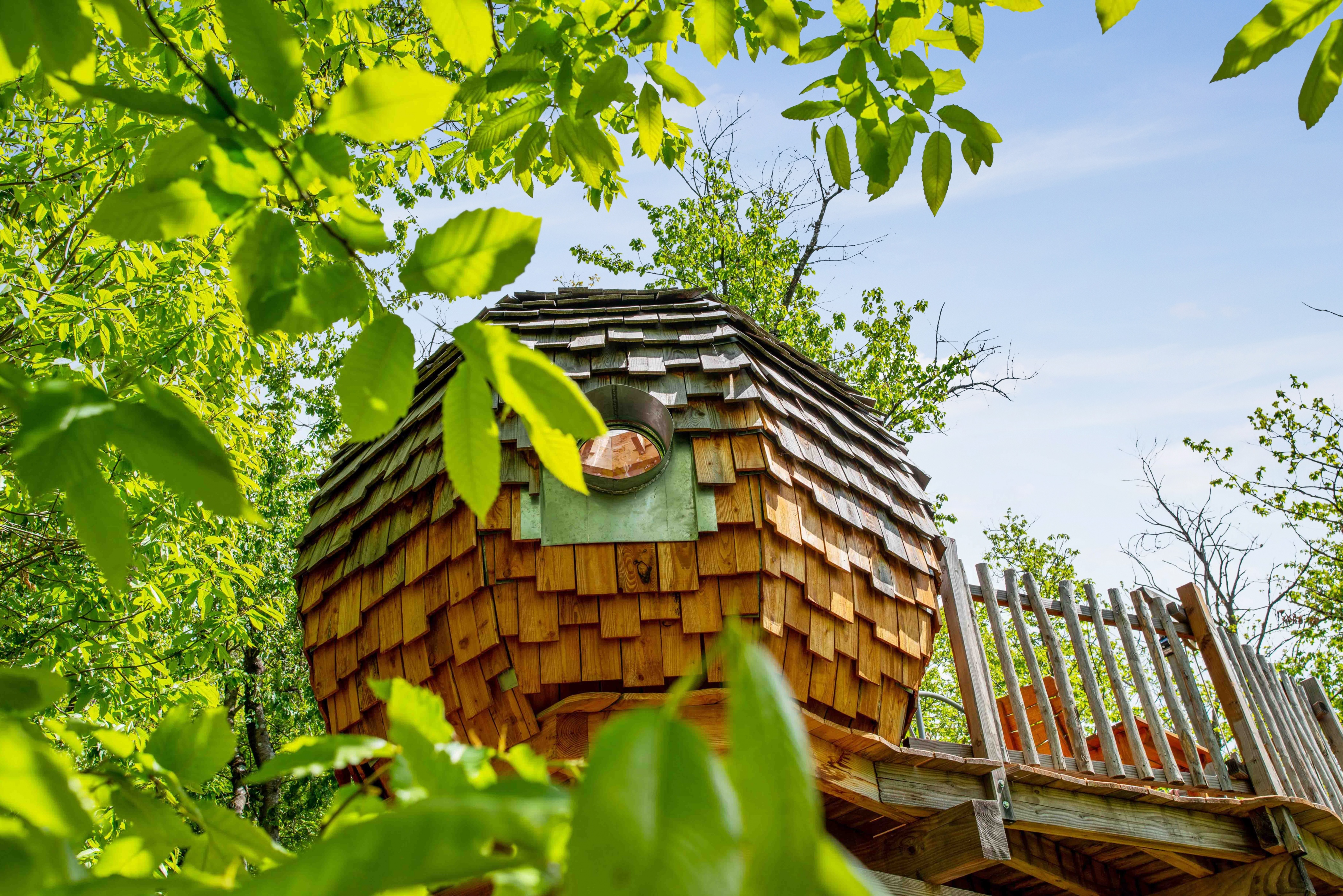 Lov'Nid des Ecrins — Cabane dans les arbres à 5m en Alpes-Maritimes à Belvédere — chambre
