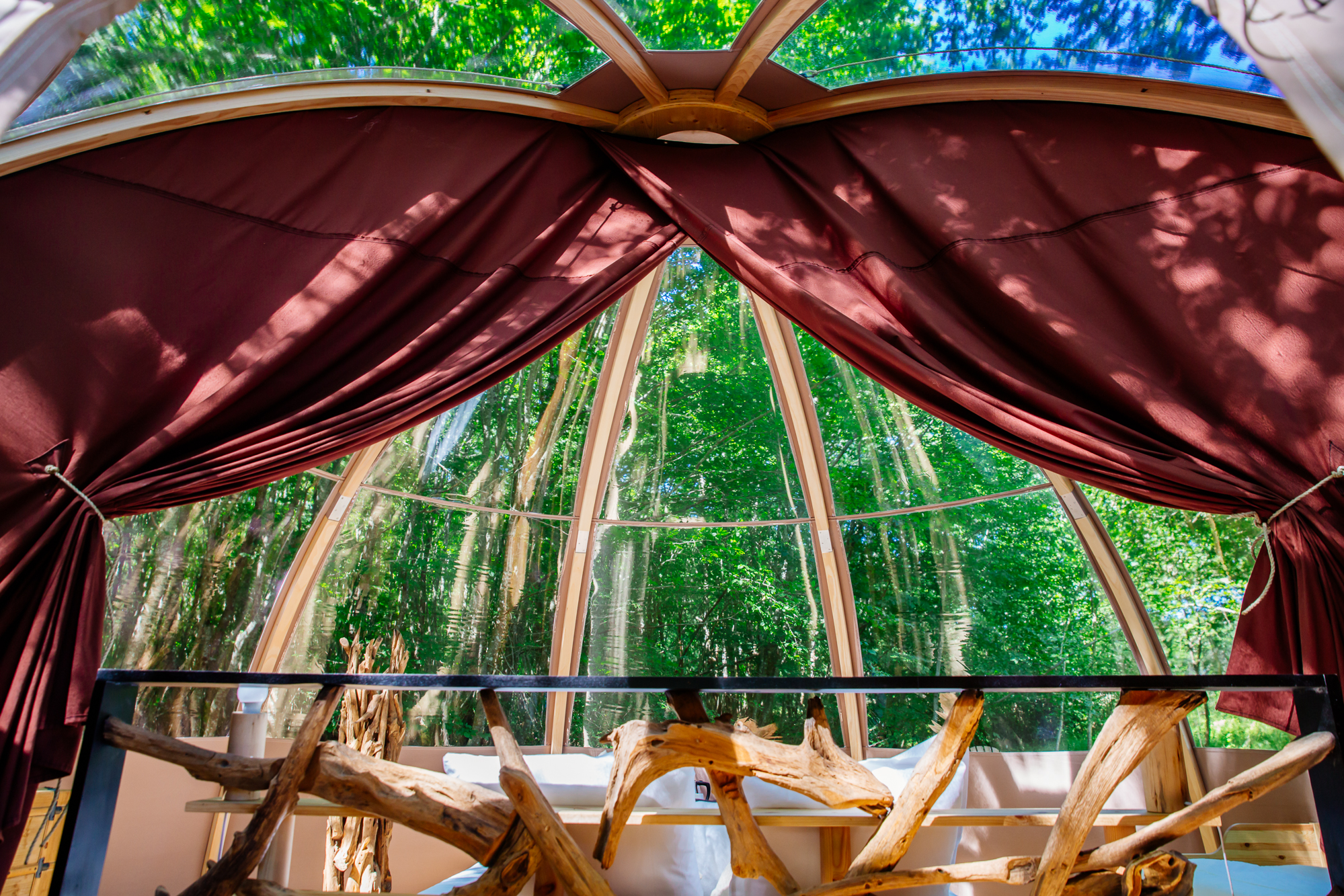 Bulle Ecôtelia : un dôme enchanteur en pleine nature à Le Nizan — espace de vie