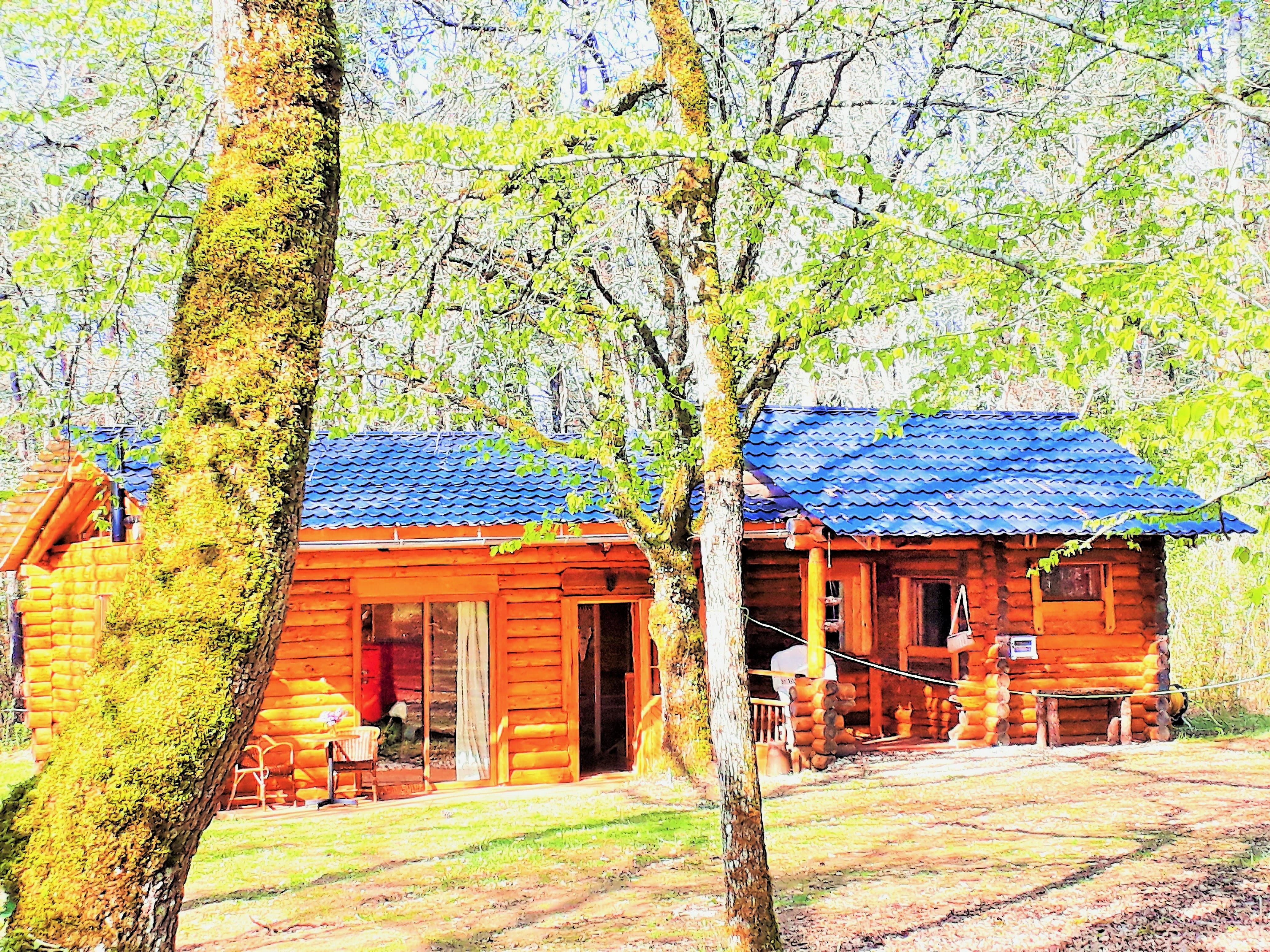 Un chalet enchanteur en pleine forêt avec spa privatif à Les Farges — cuisine
