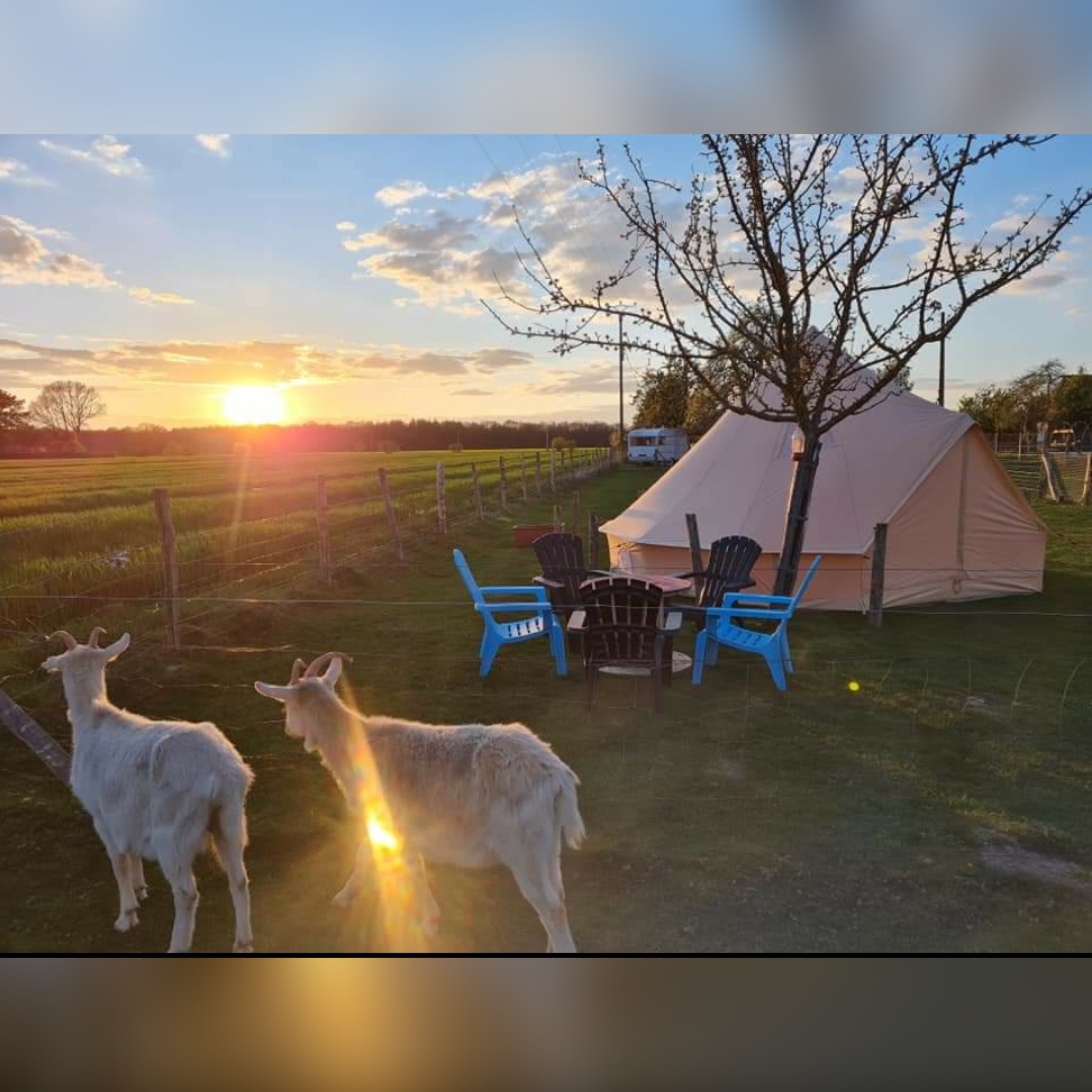 Tente Sibley T5 — Séjour nature avec spa à Eure-et-Loir à Amilly — espace de vie