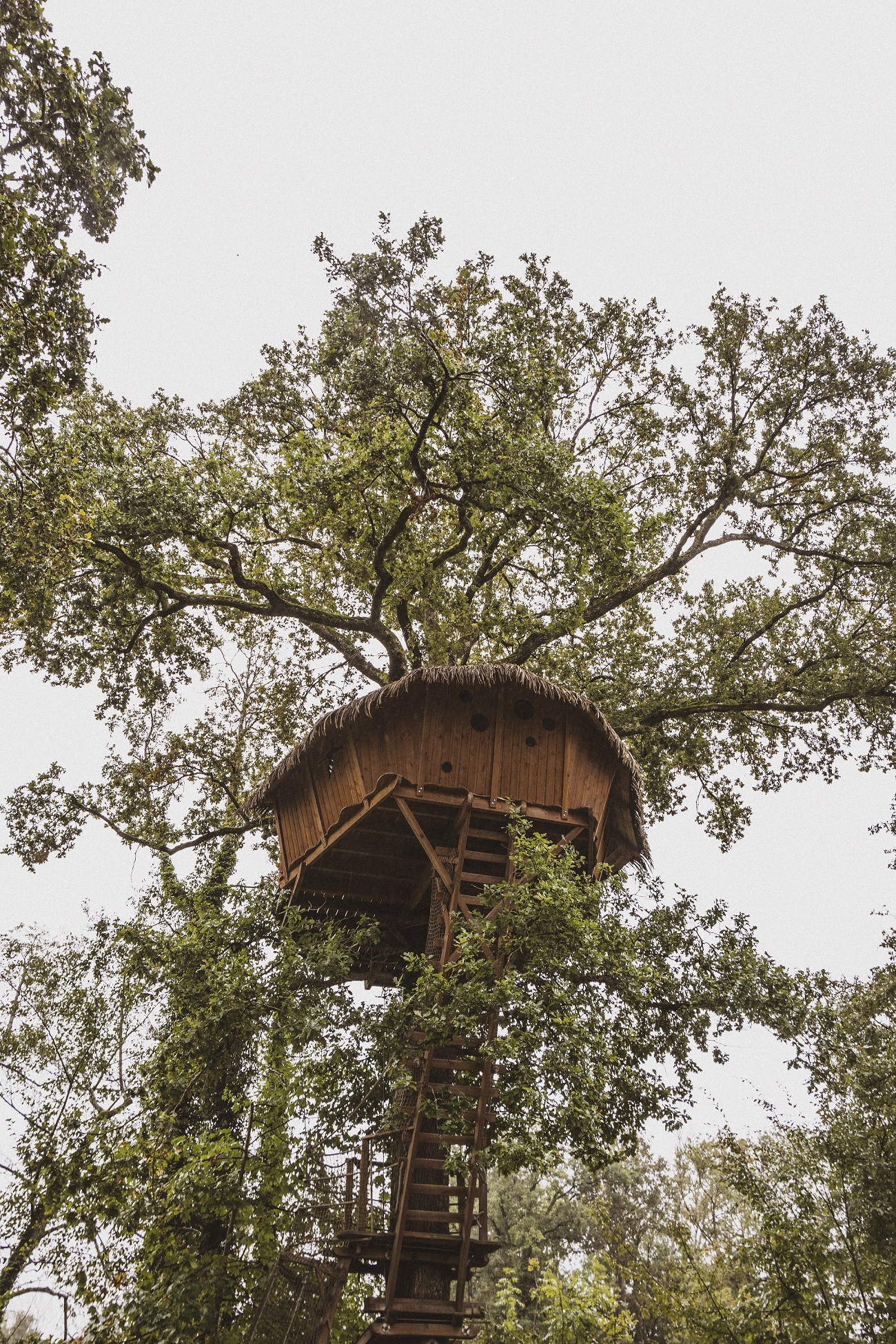 Cabane Reflet : une évasion perchée dans les arbres à Chassey-Lès-Montbozon — vue intérieure