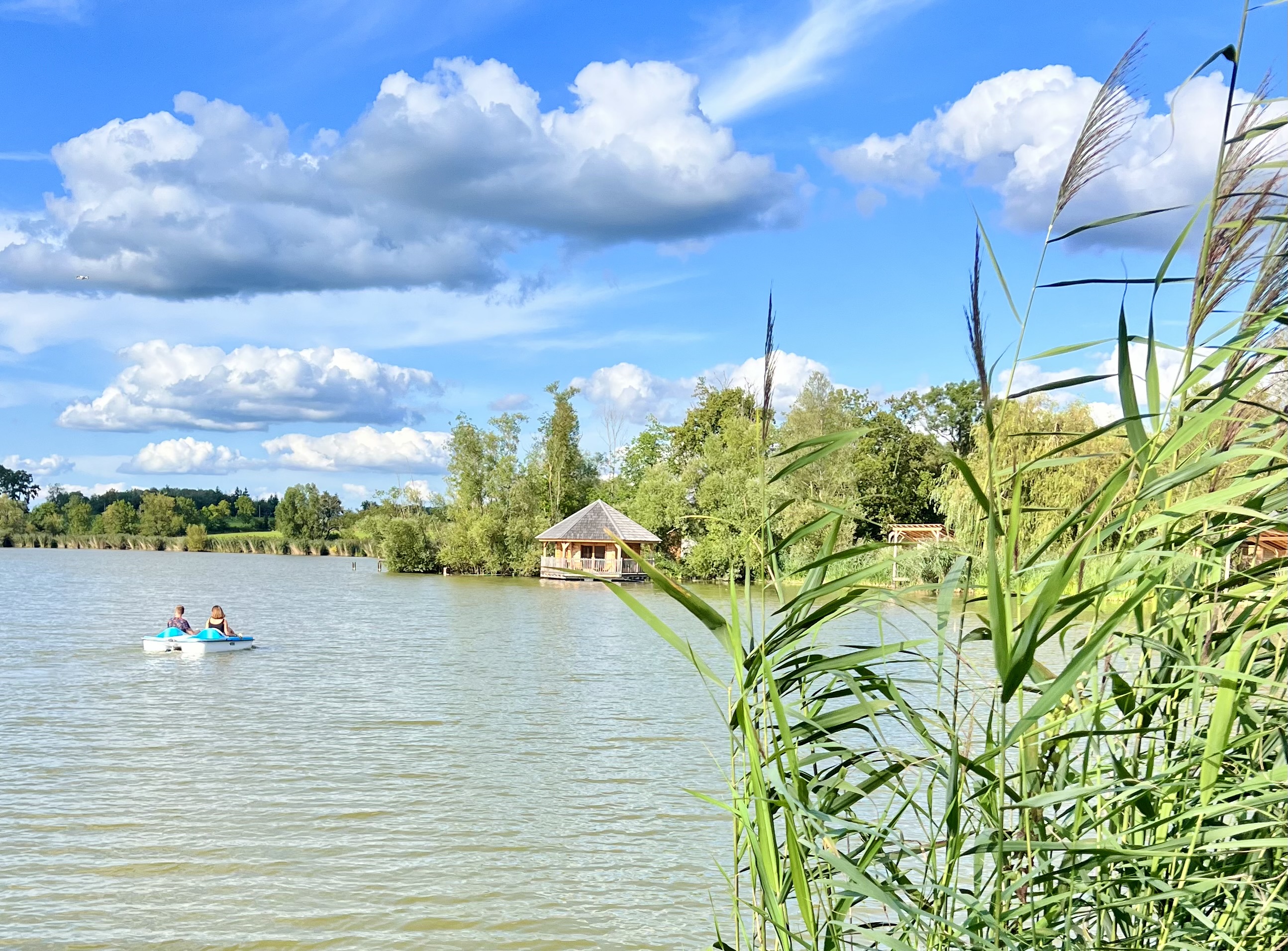 Cabane Ruche 5 pers — Séjour flottant avec spa à Ain à Meillonnas — chambre