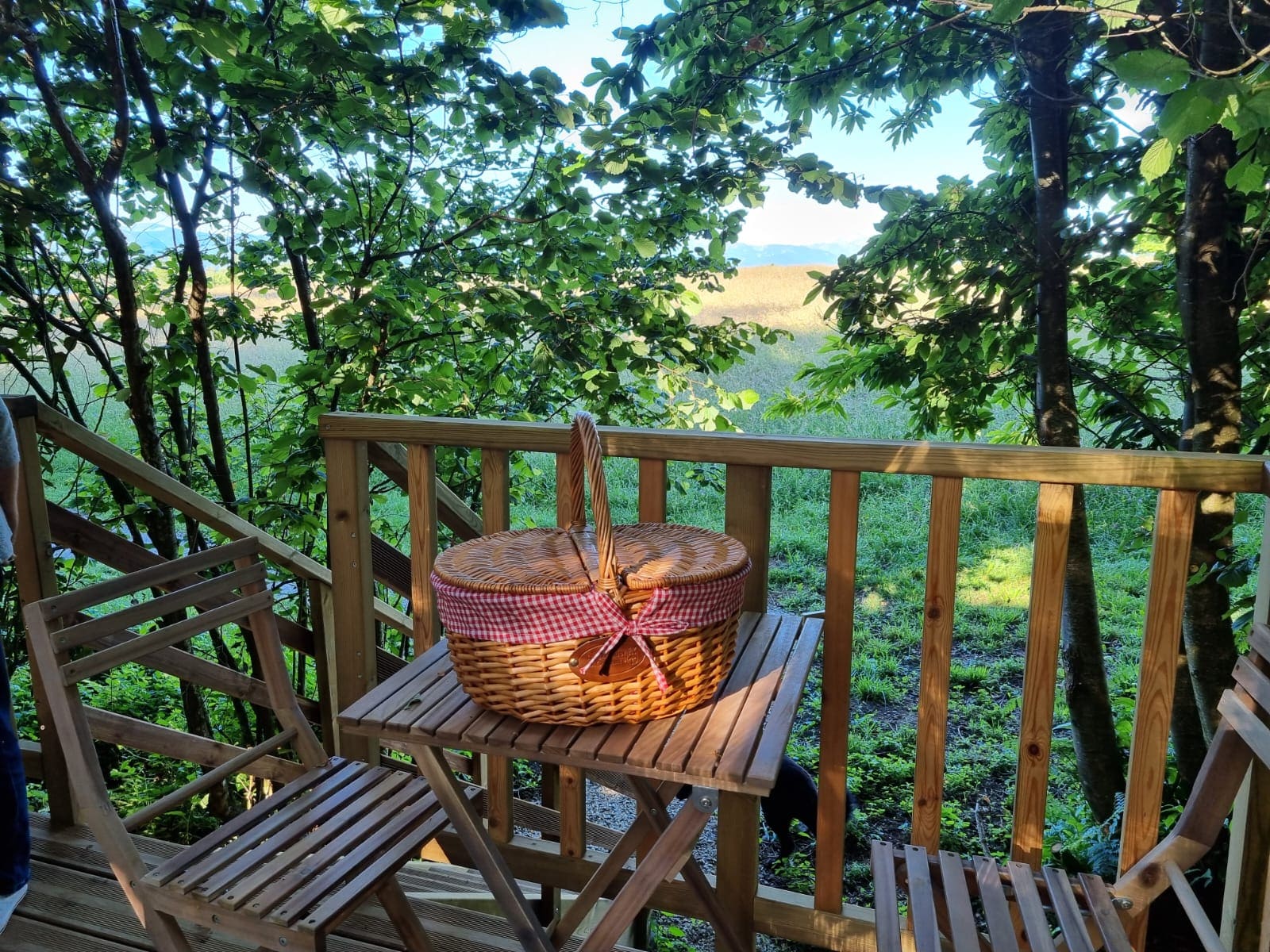 La Bulle des bois : une expérience unique en pleine nature à Les Tourreilles — espace de vie